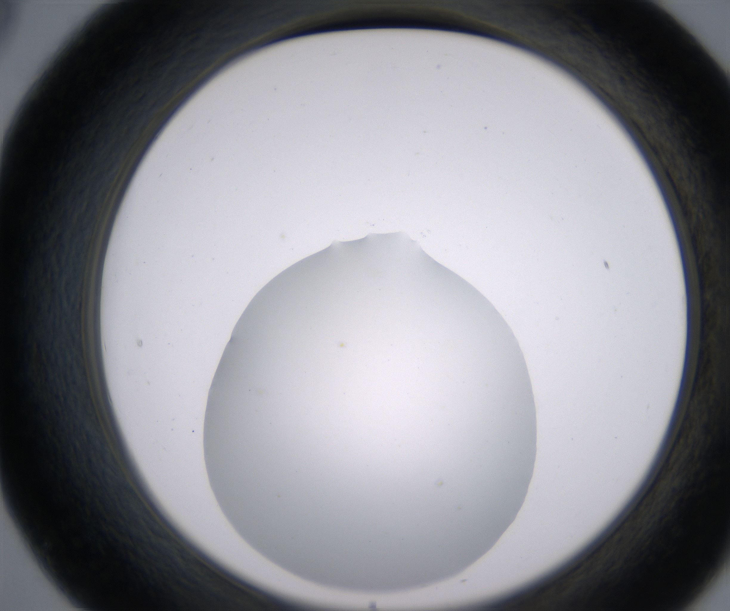 B8_HighResolution_Clear_2.jpg