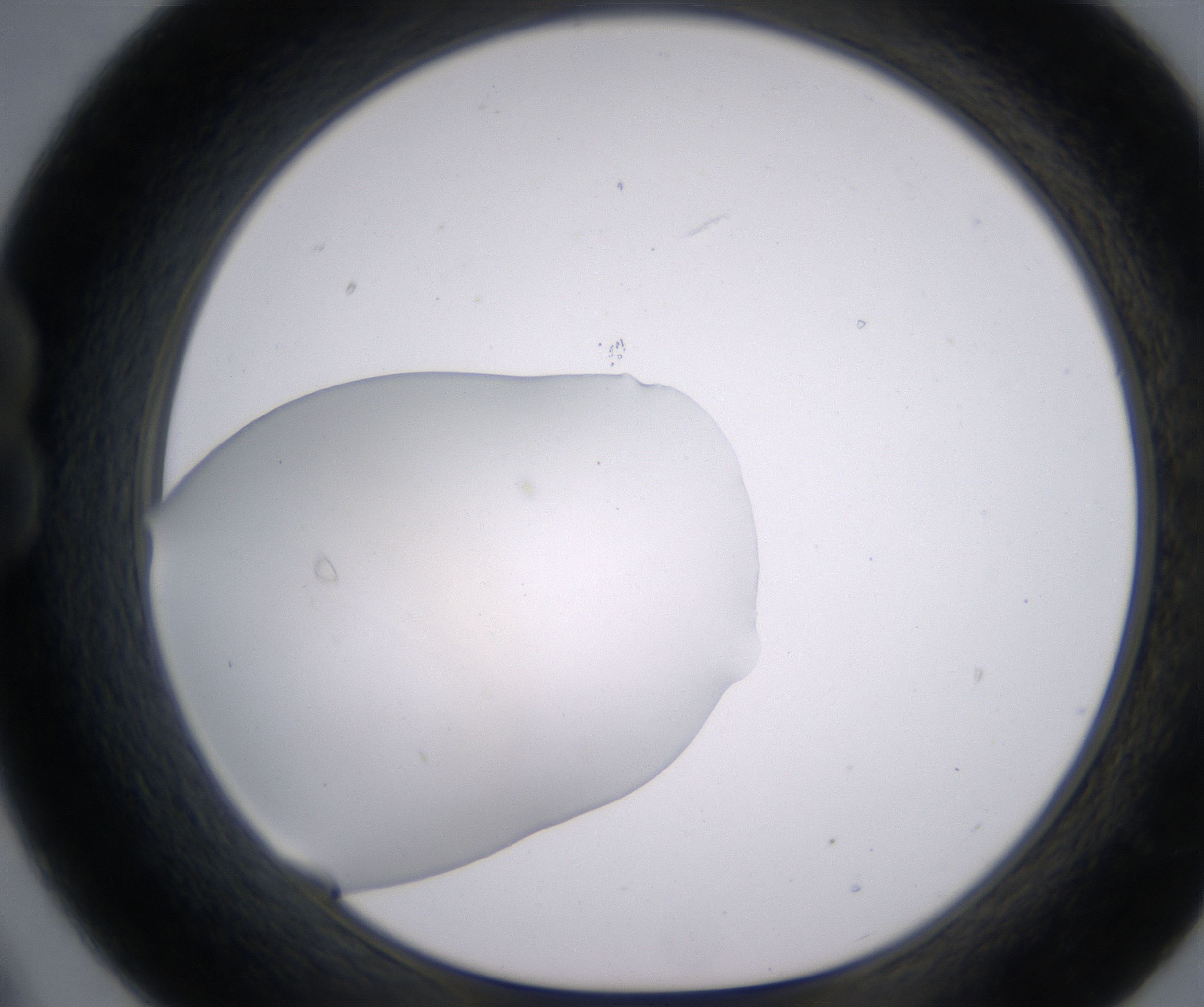 B9_HighResolution_Clear_1.jpg
