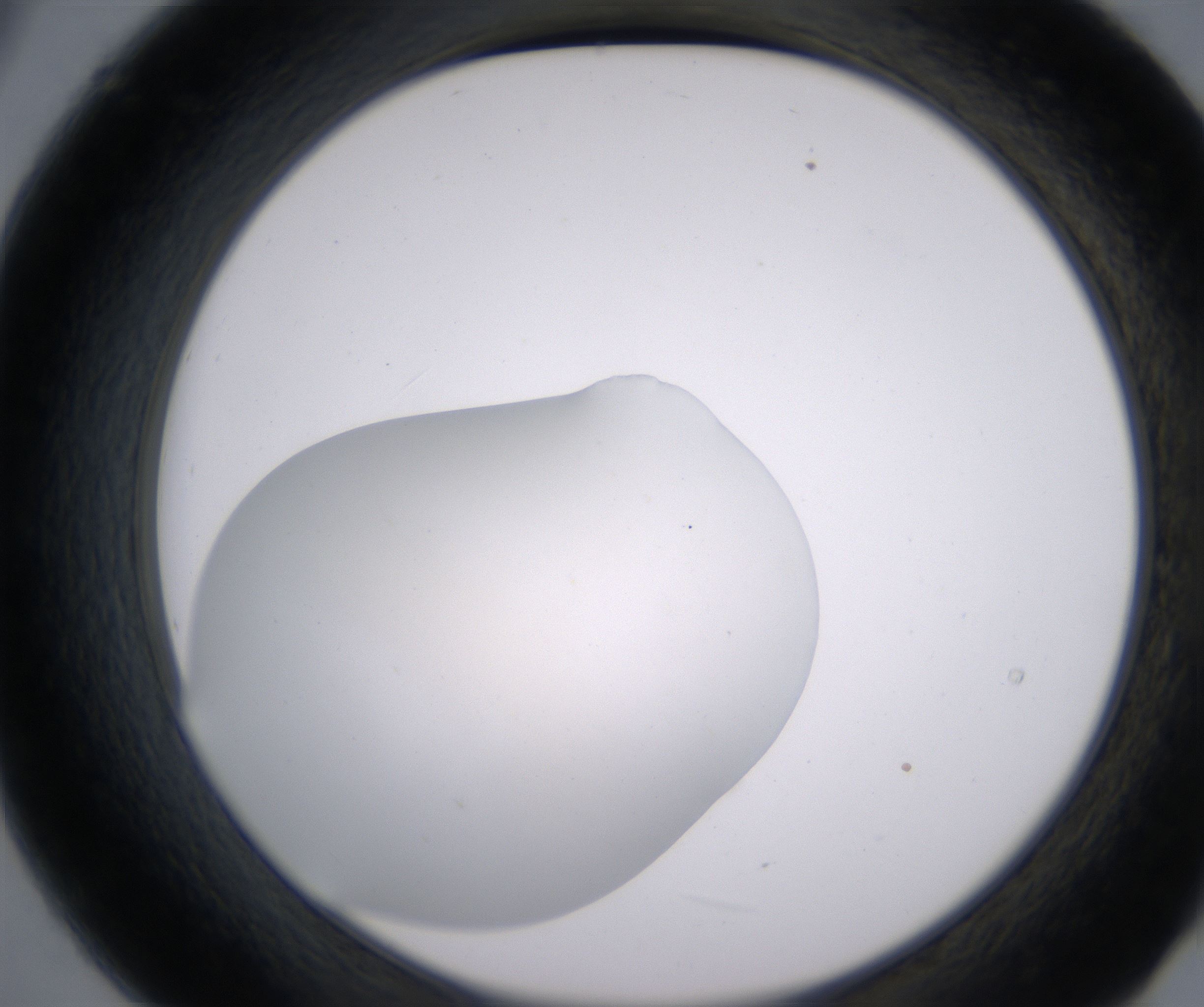 B9_HighResolution_Clear_2.jpg