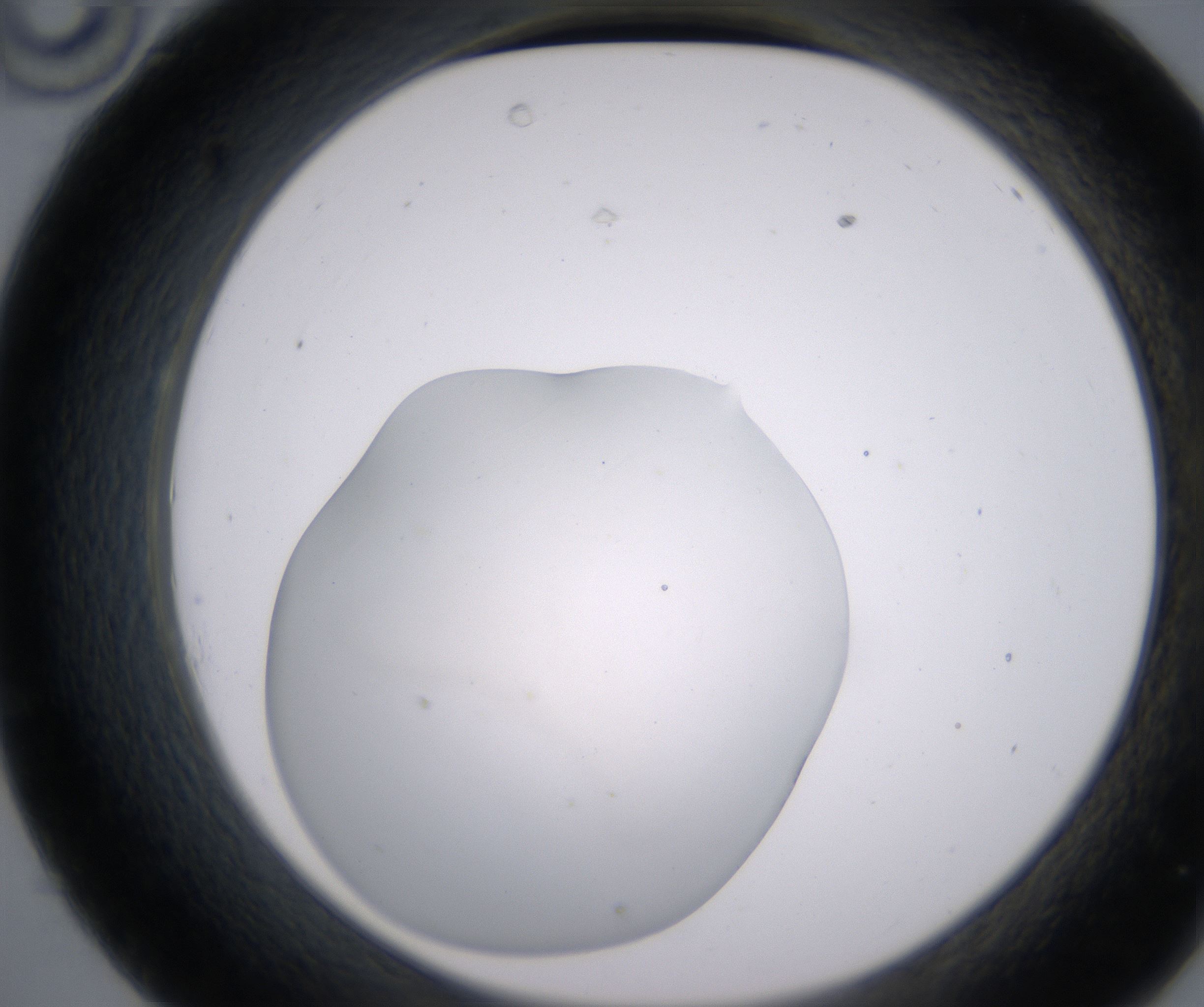 C10_HighResolution_Clear_2.jpg