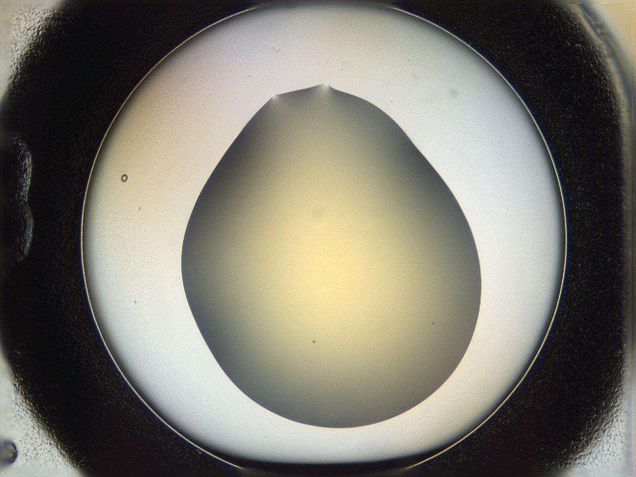 05k0_B5_ImagerDefaults_0.jpg