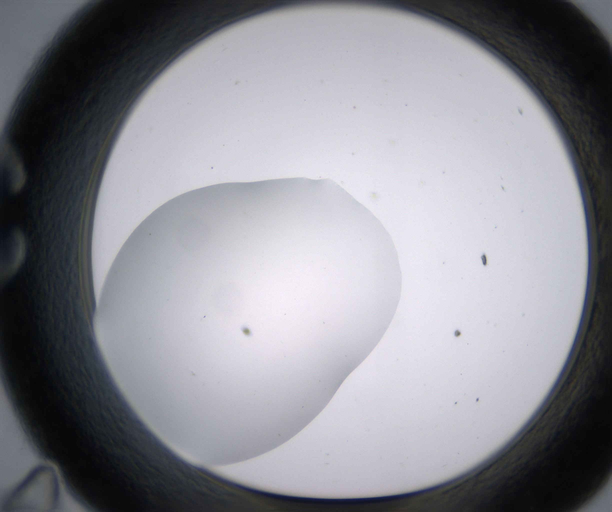 C11_HighResolution_Clear_1.jpg