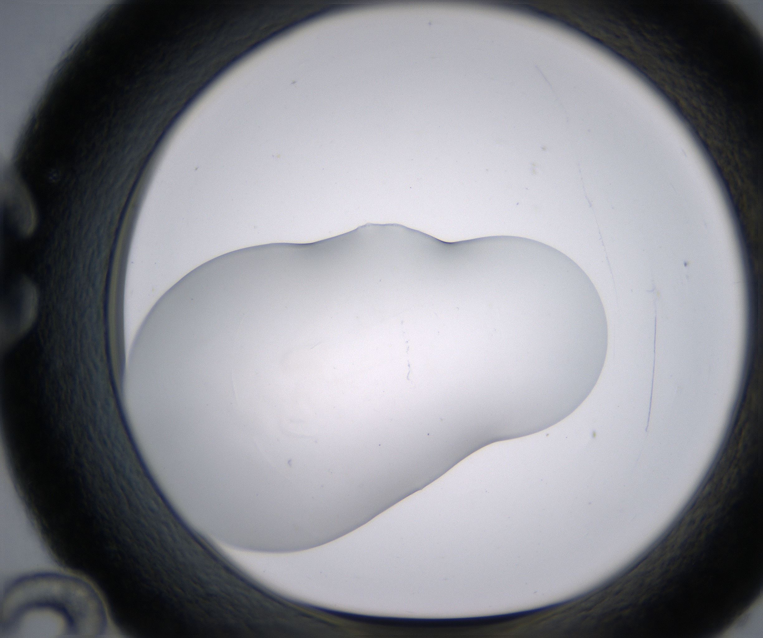 C12_HighResolution_Clear_1.jpg