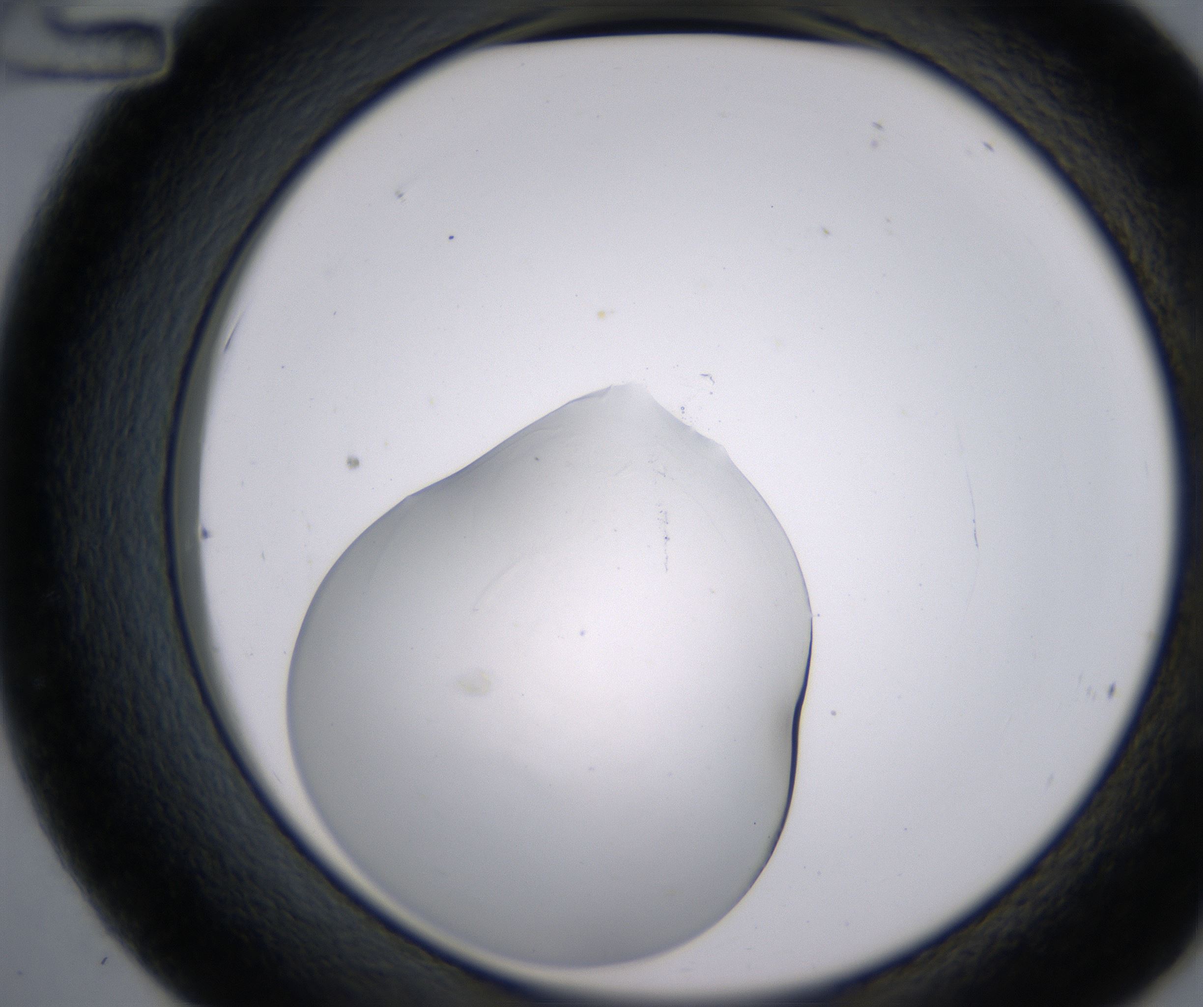 C12_HighResolution_Clear_2.jpg