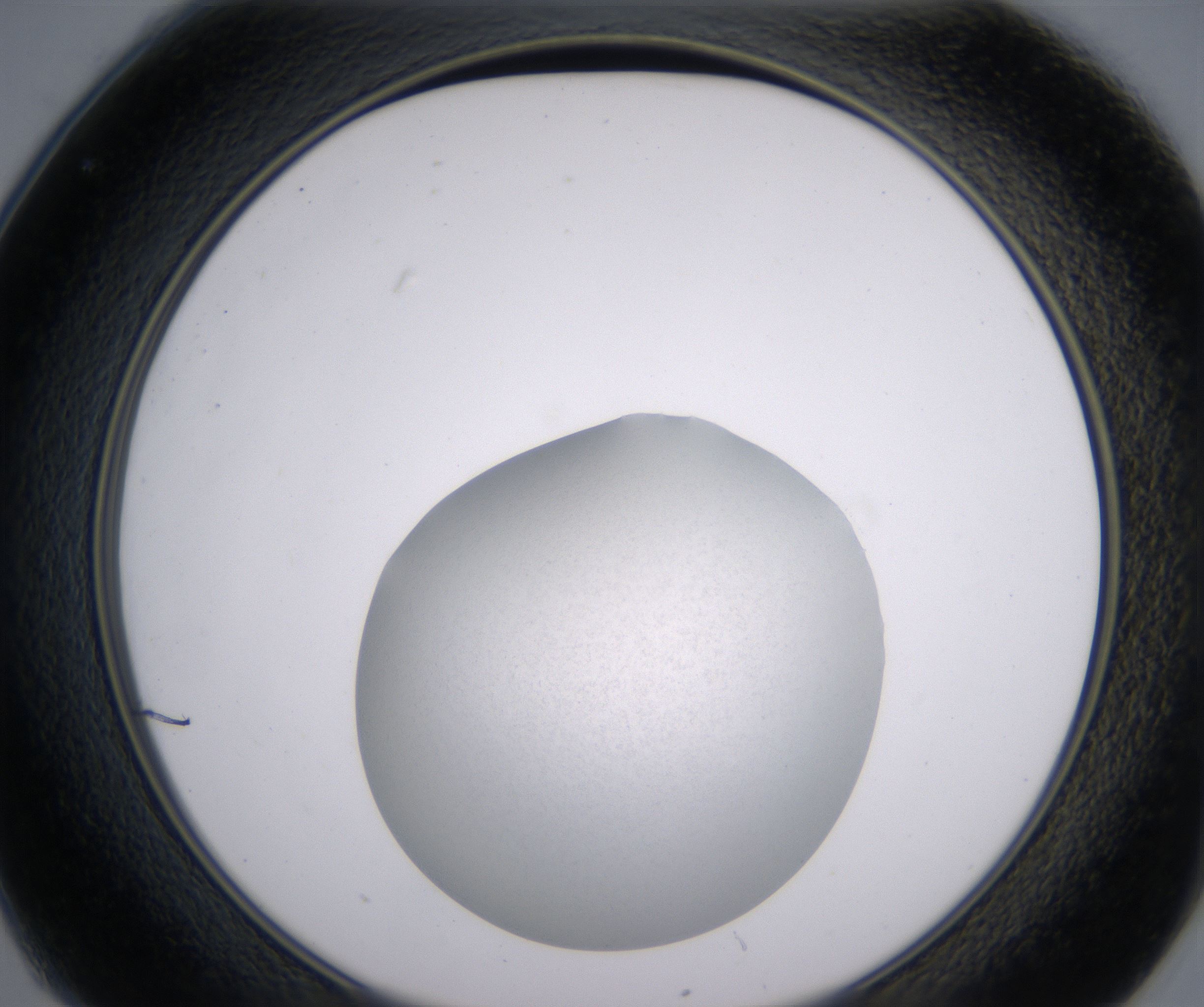 C1_HighResolution_Clear_2.jpg