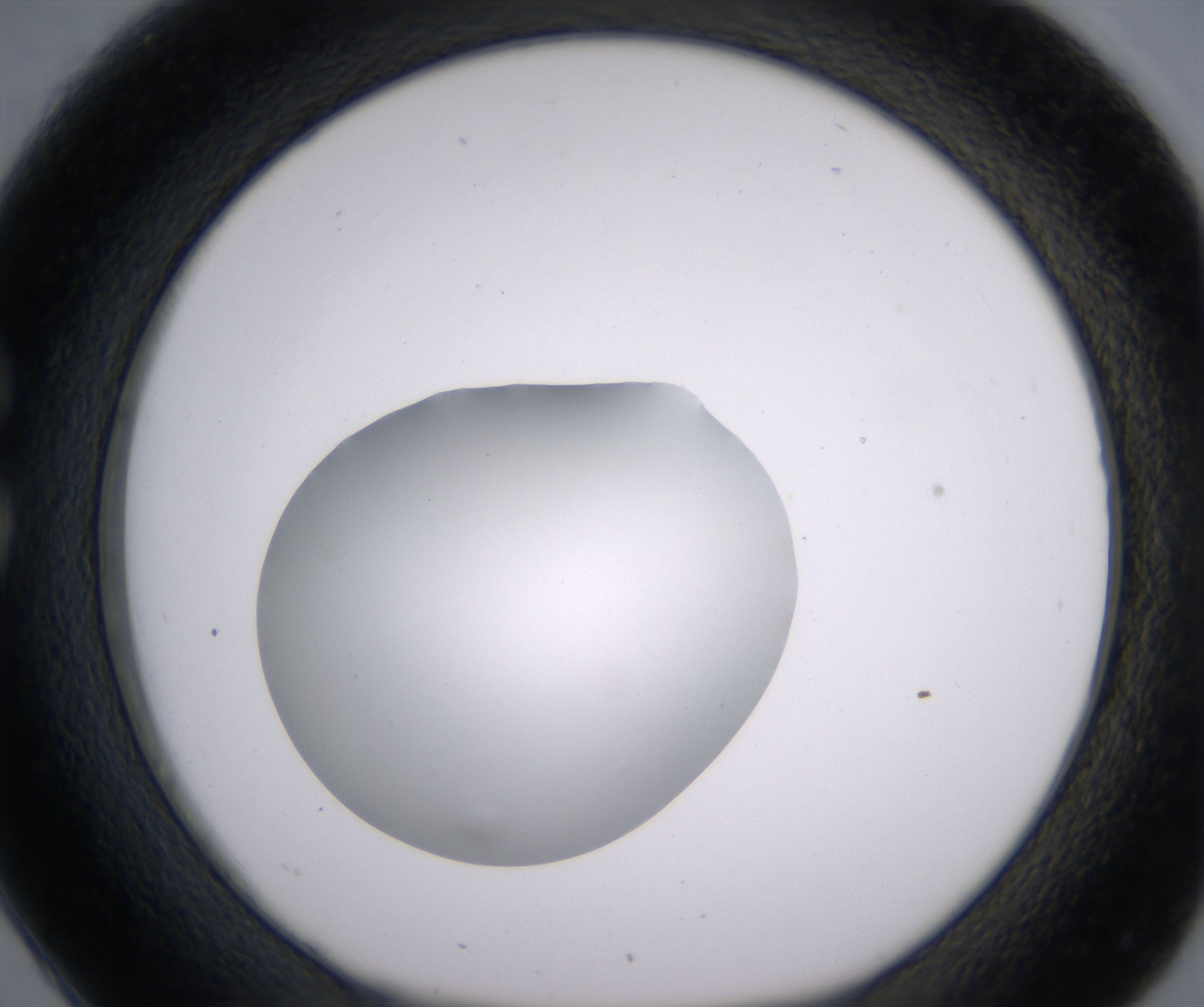 C2_HighResolution_Clear_1.jpg