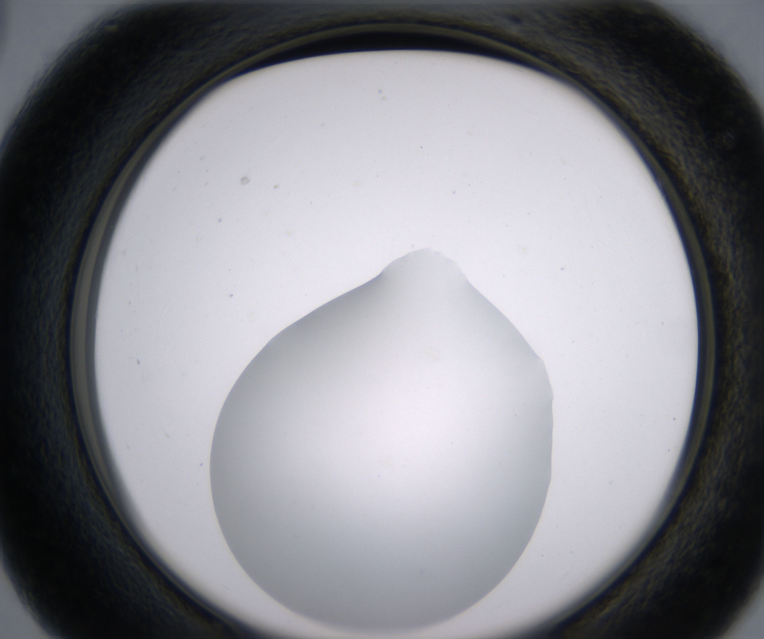 C3_HighResolution_Clear_2.jpg