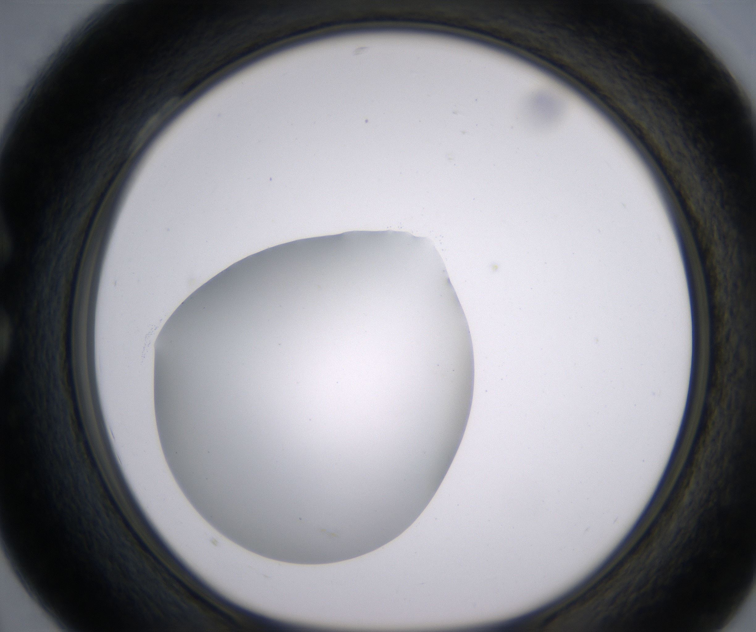 C4_HighResolution_Clear_1.jpg