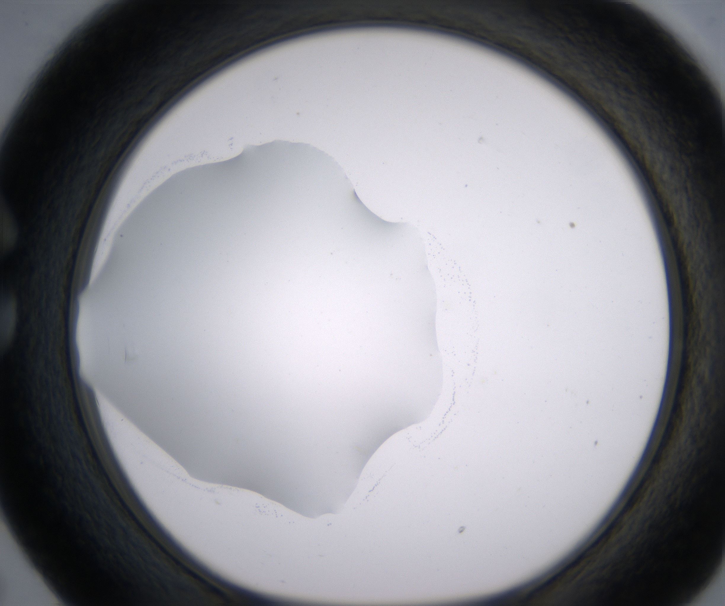 C5_HighResolution_Clear_1.jpg