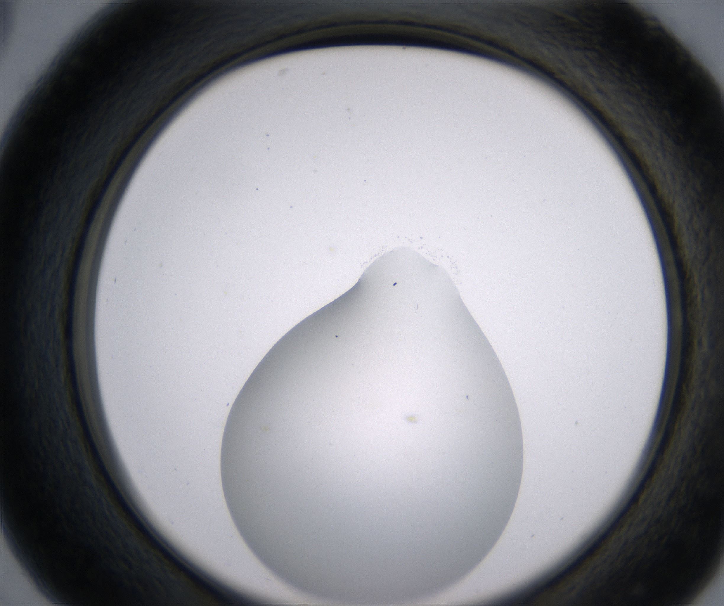 C5_HighResolution_Clear_2.jpg