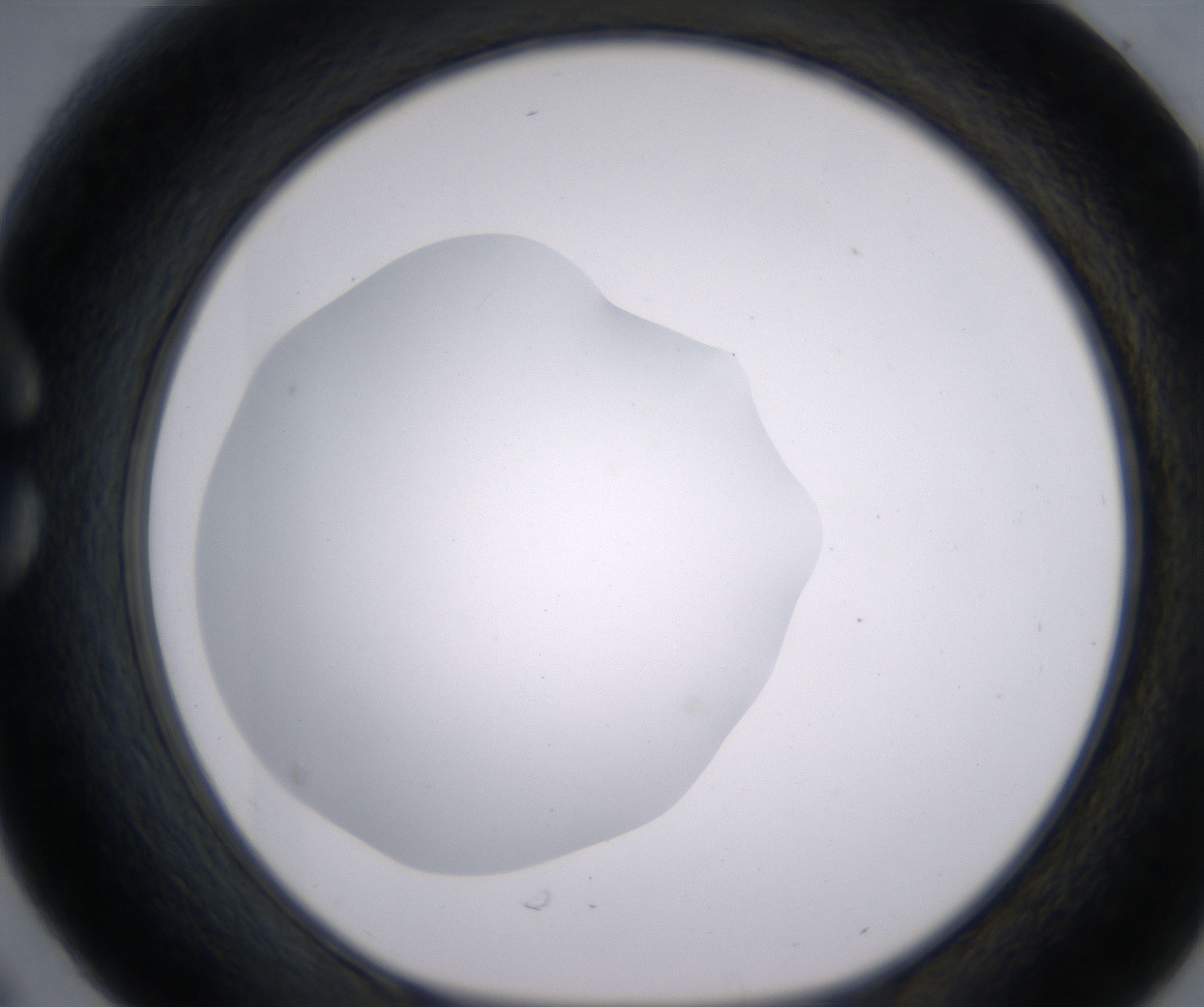C6_HighResolution_Clear_1.jpg