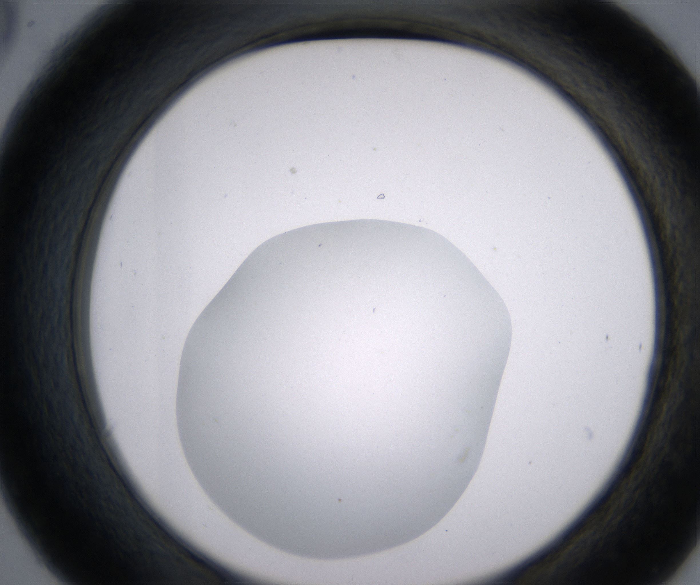 C6_HighResolution_Clear_2.jpg