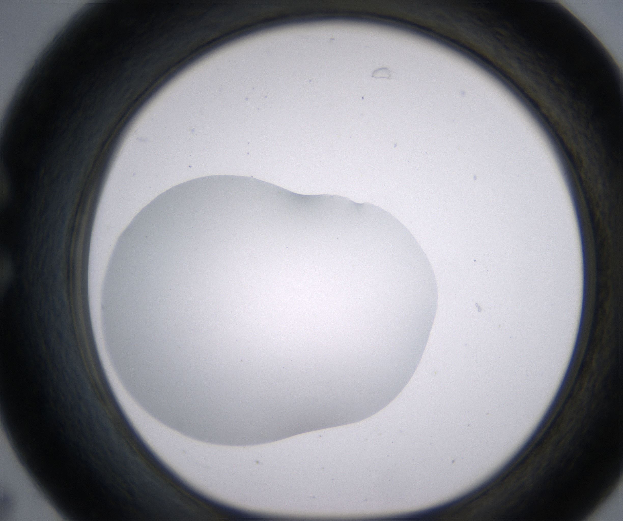 C7_HighResolution_Clear_1.jpg