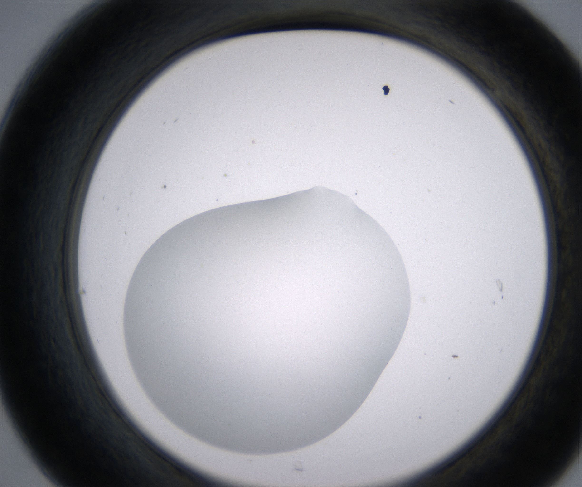 C7_HighResolution_Clear_2.jpg