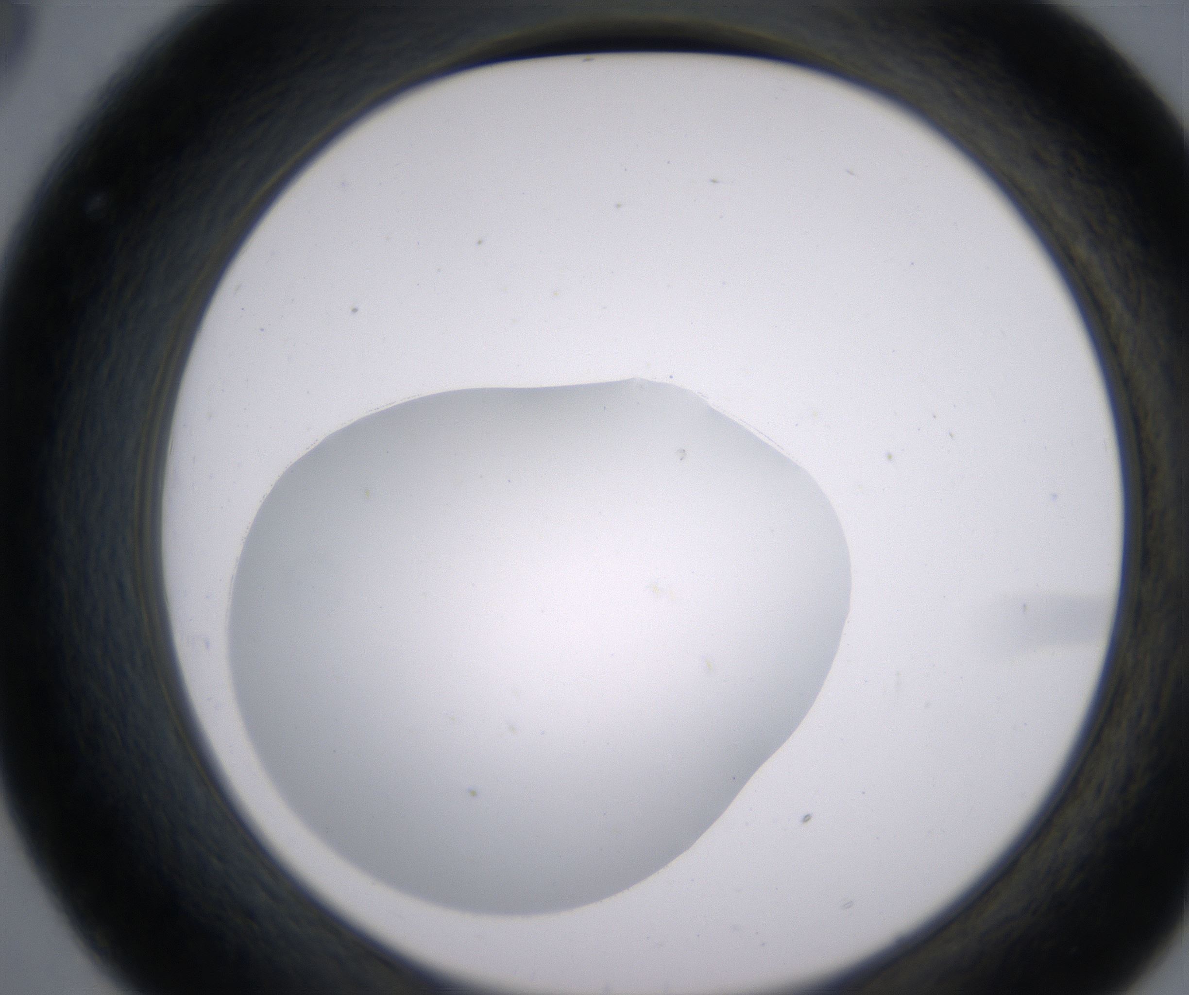 C8_HighResolution_Clear_2.jpg