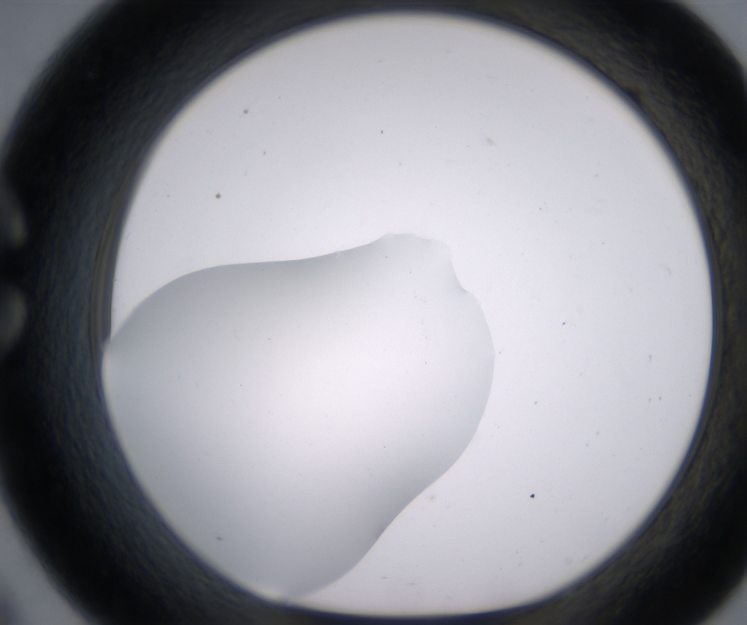 C9_HighResolution_Clear_1.jpg