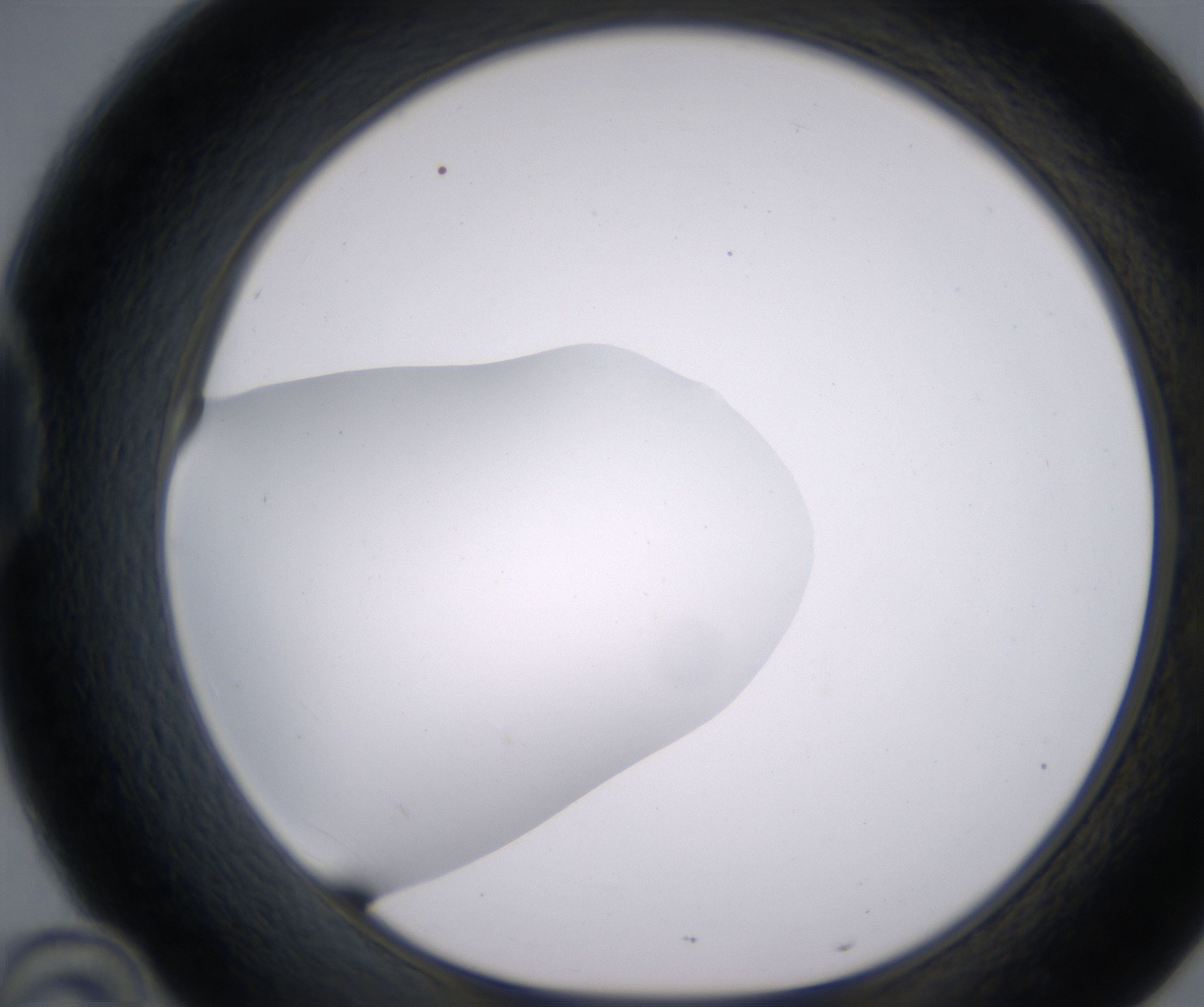 D10_HighResolution_Clear_1.jpg