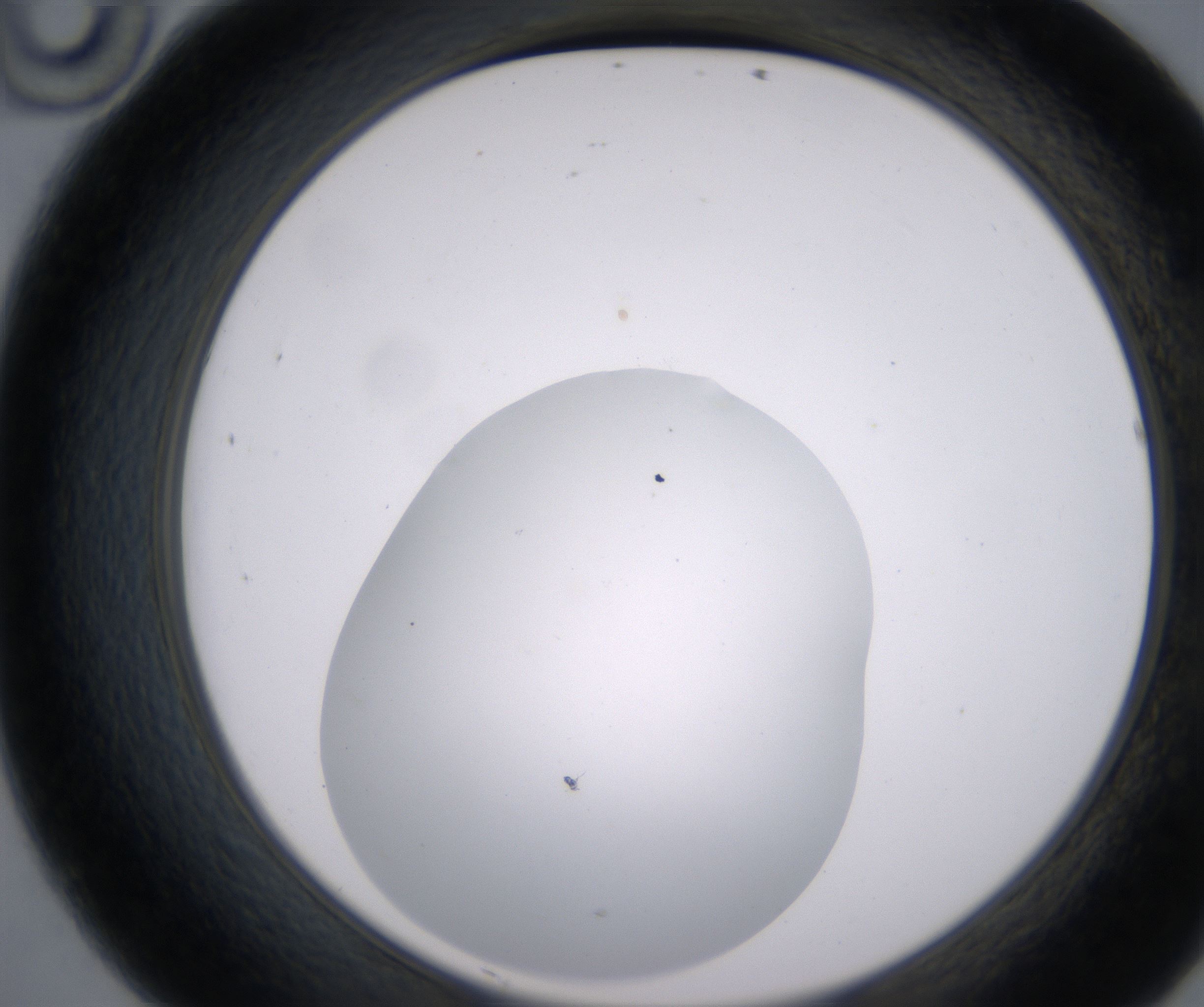D10_HighResolution_Clear_2.jpg