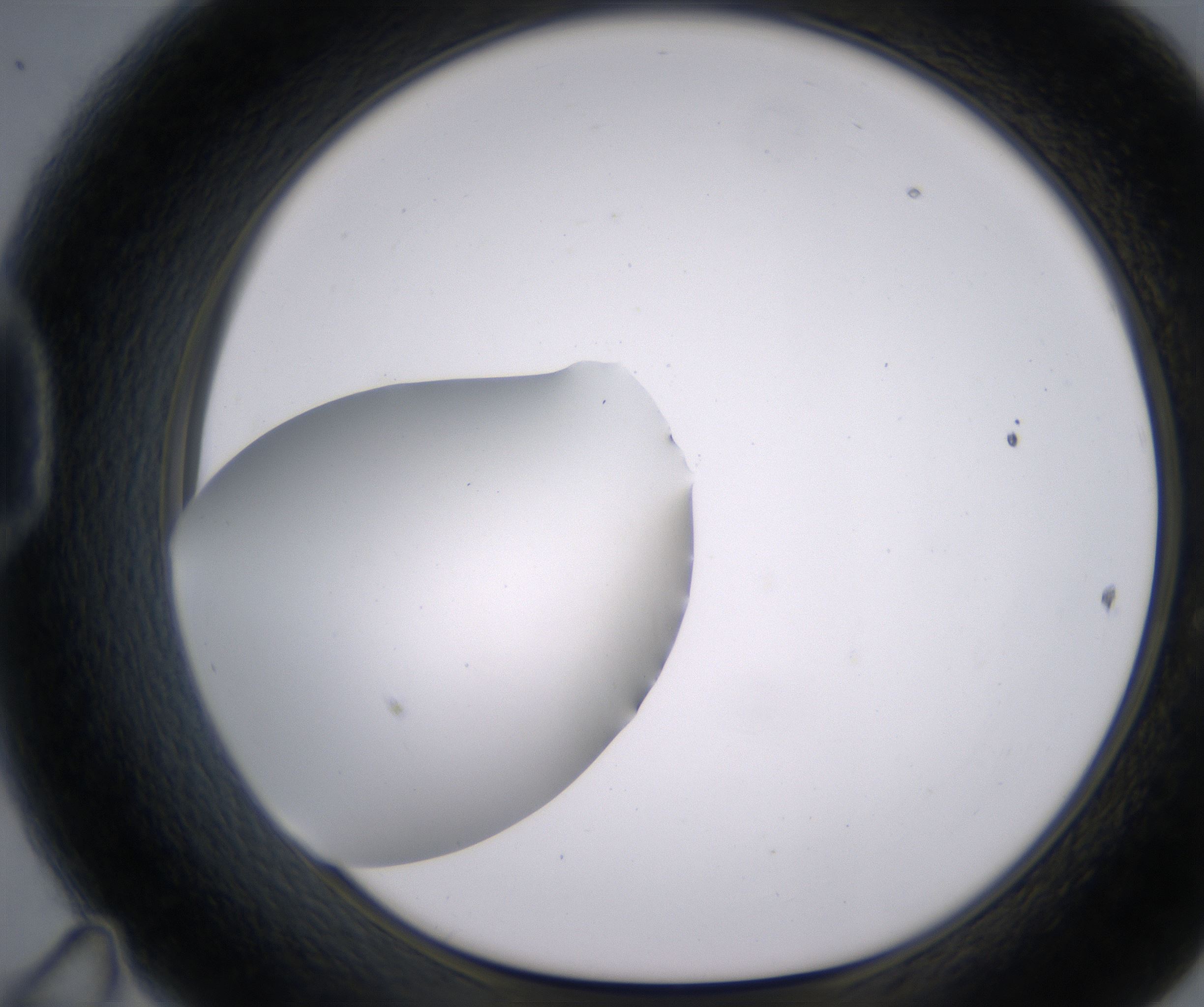 D11_HighResolution_Clear_1.jpg