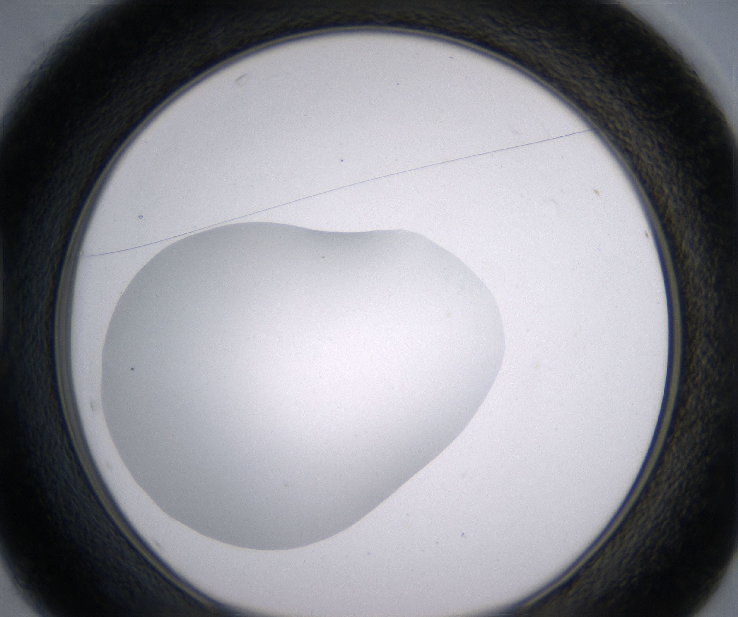 D1_HighResolution_Clear_1.jpg