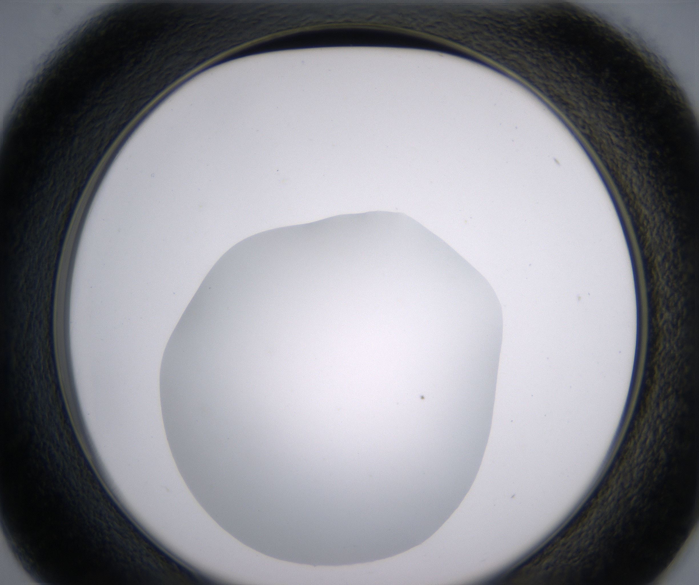 D1_HighResolution_Clear_2.jpg
