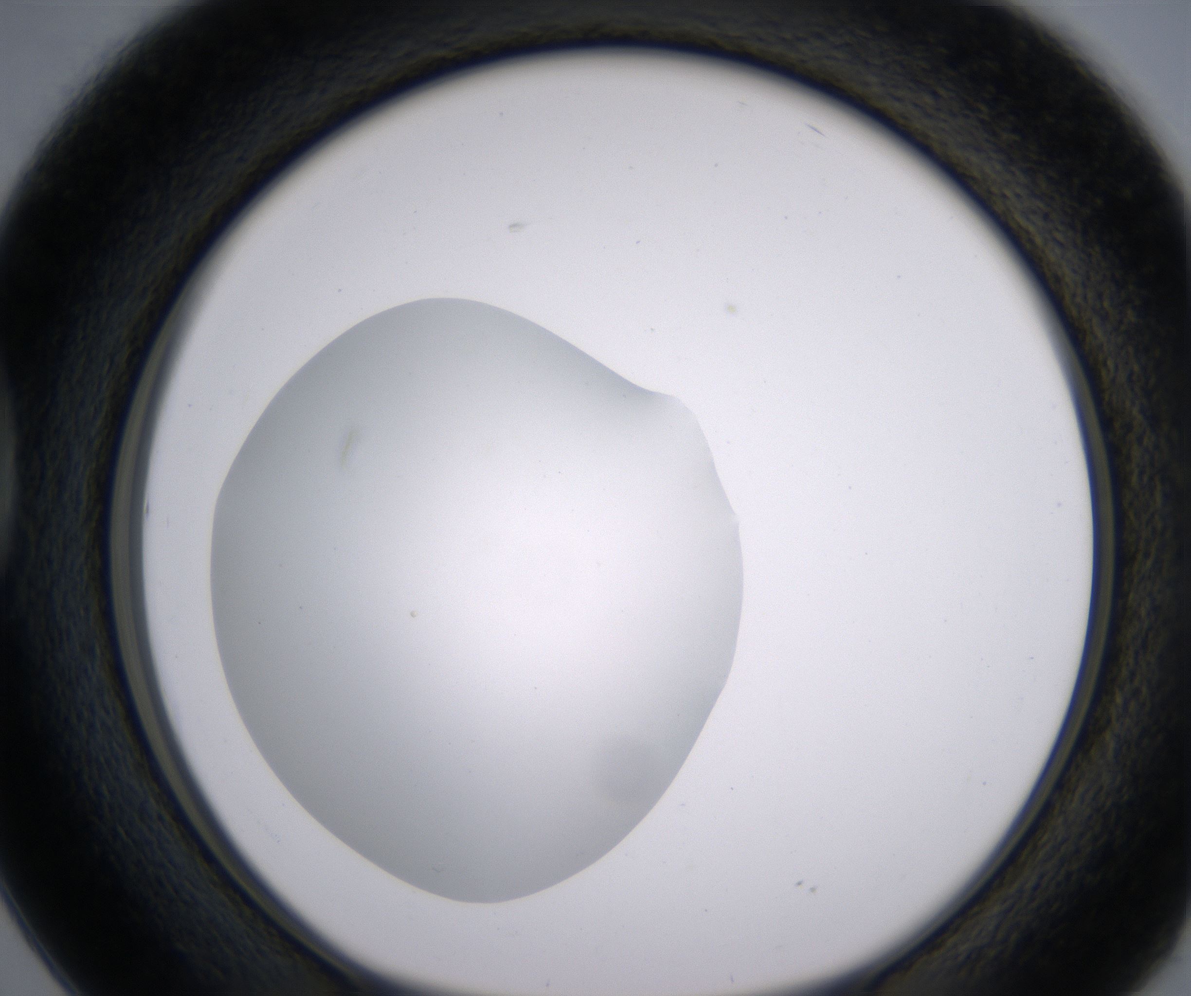 D2_HighResolution_Clear_1.jpg