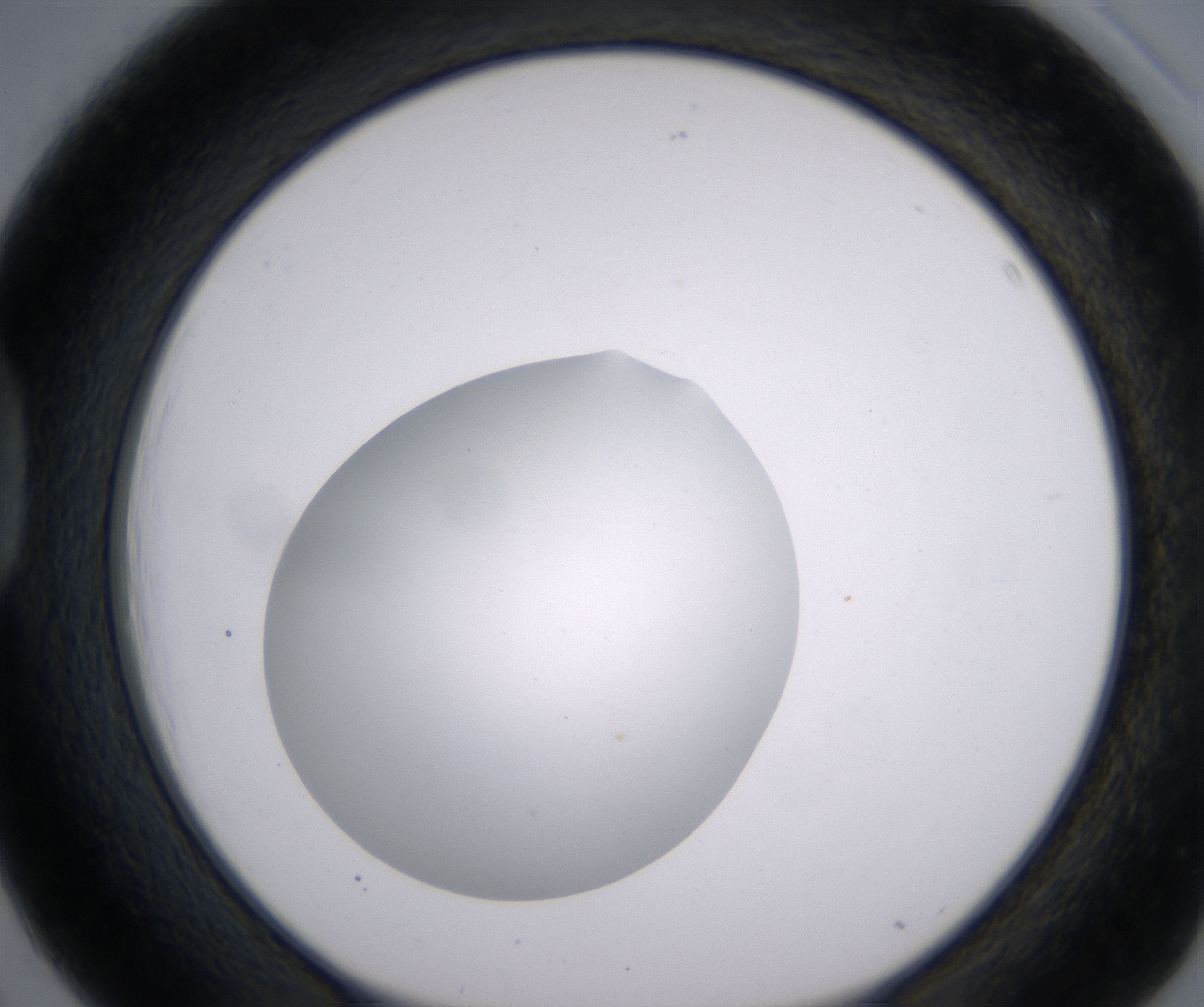 D3_HighResolution_Clear_1.jpg