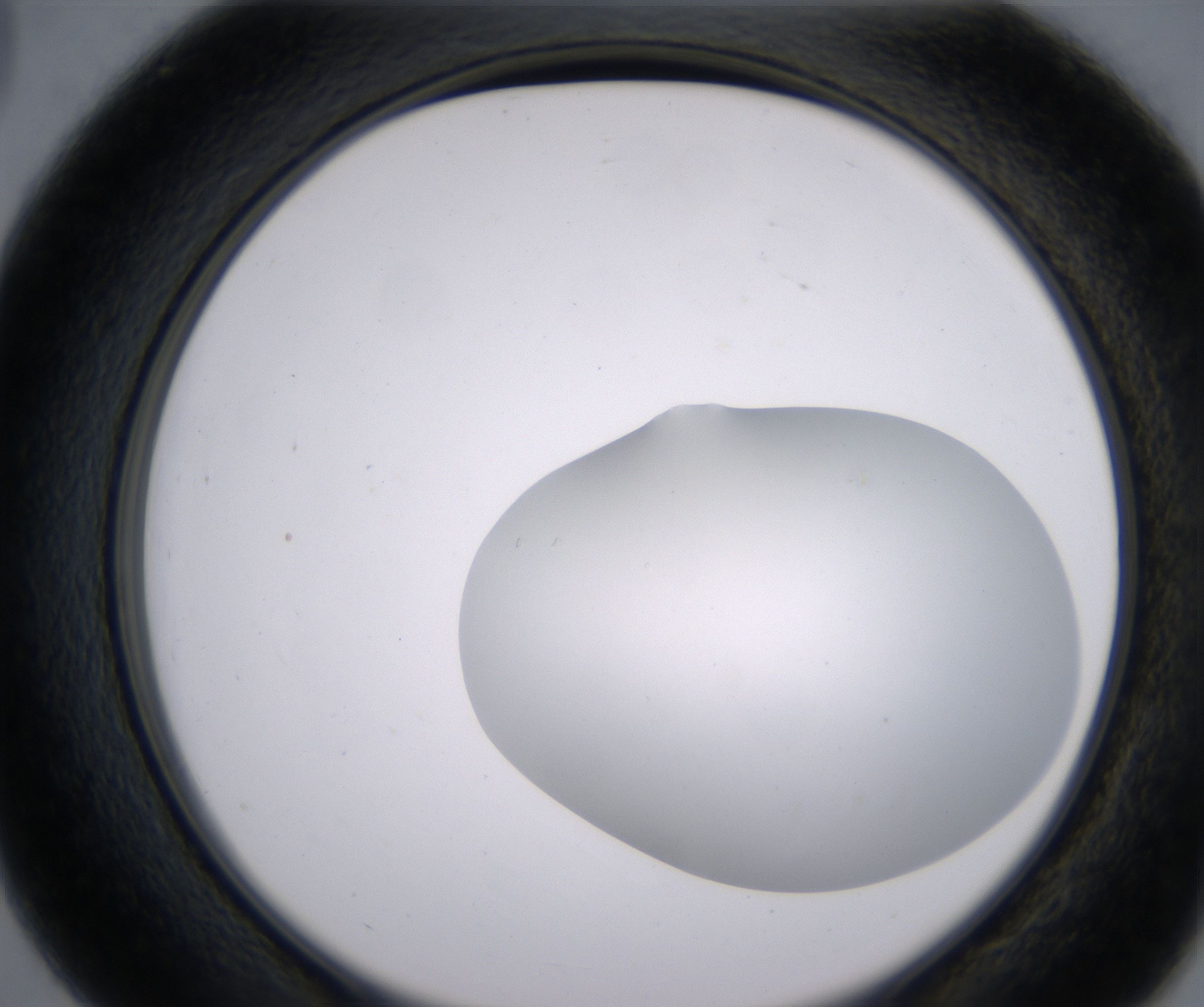 D3_HighResolution_Clear_2.jpg