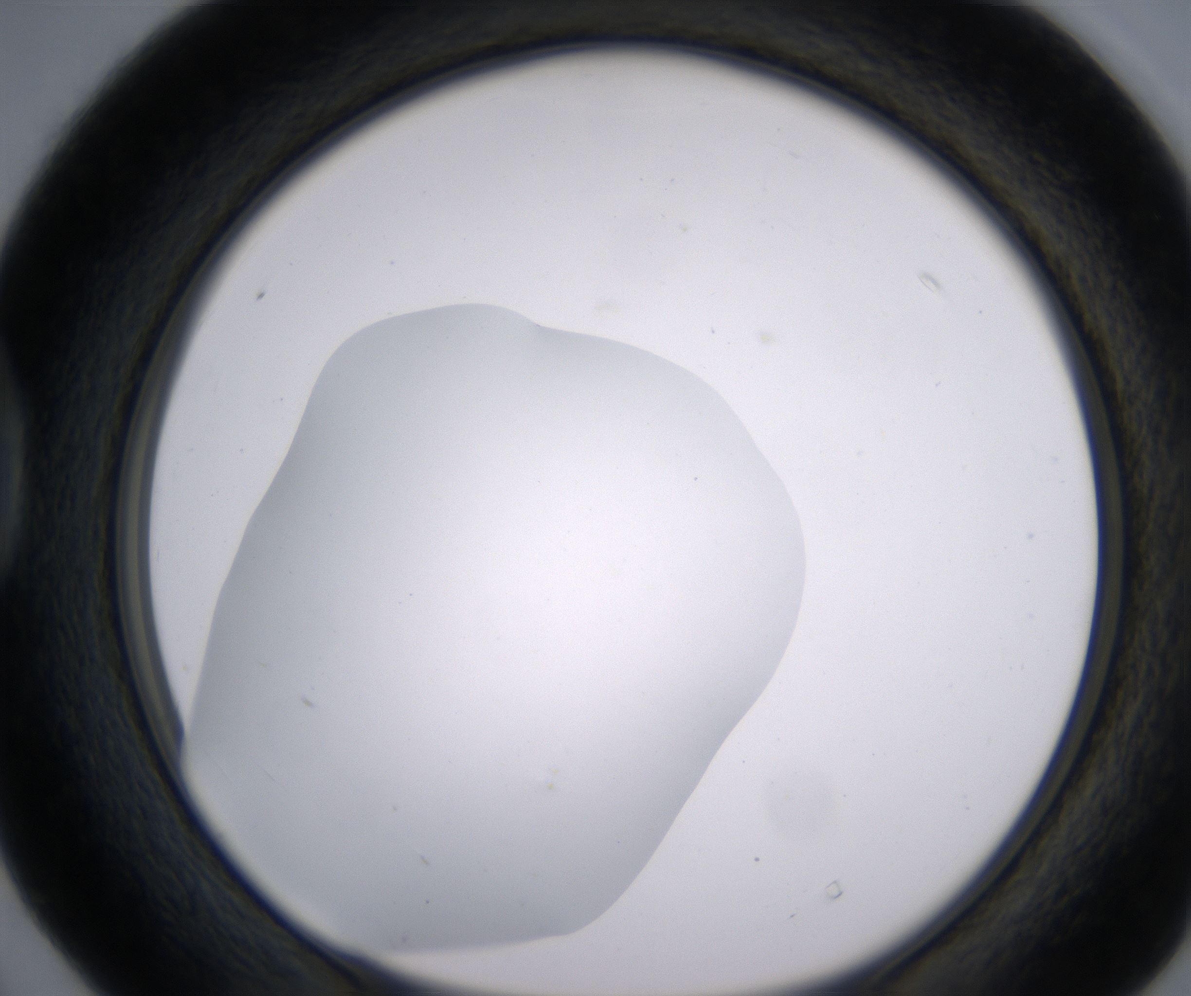 D4_HighResolution_Clear_1.jpg