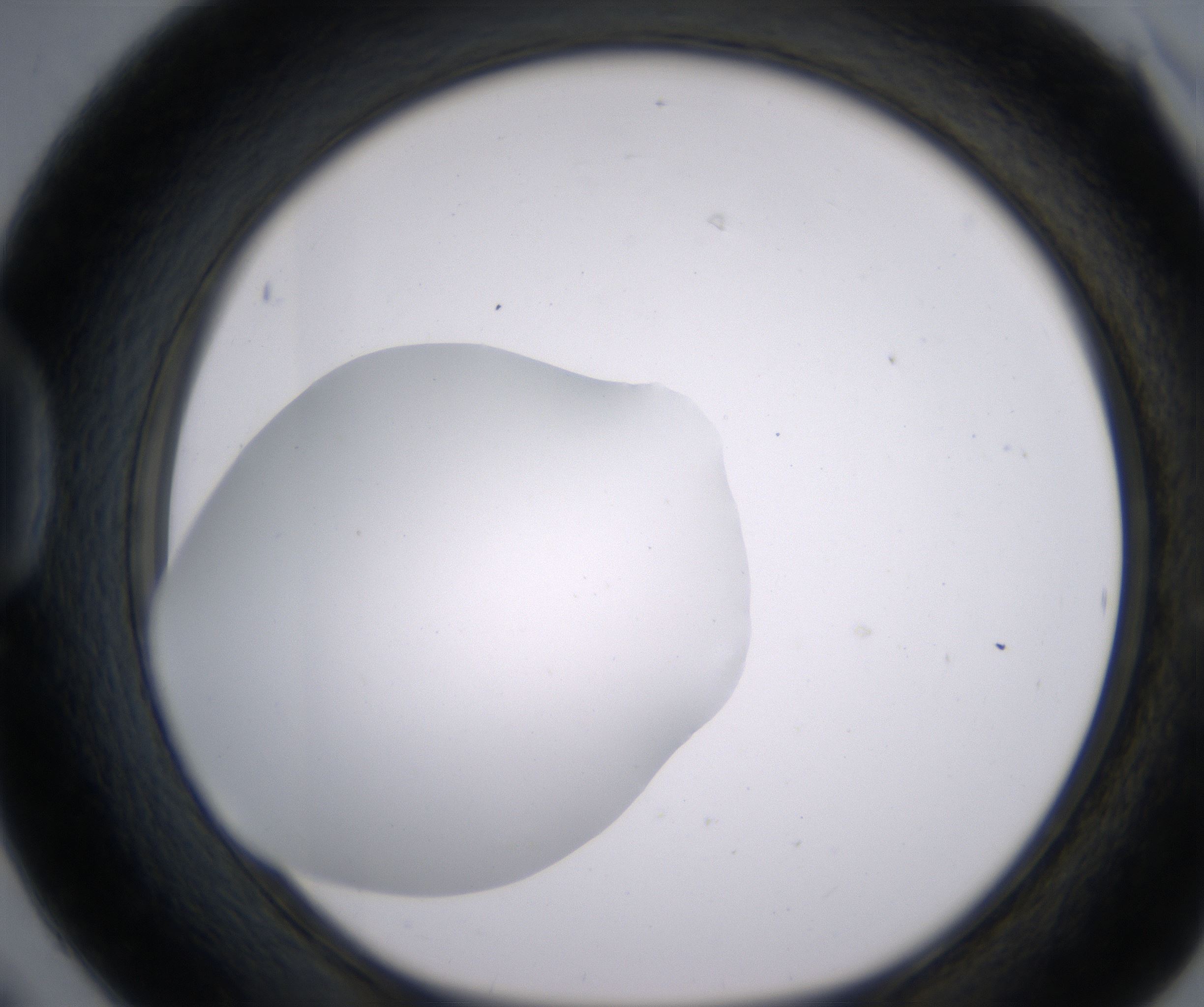 D6_HighResolution_Clear_1.jpg
