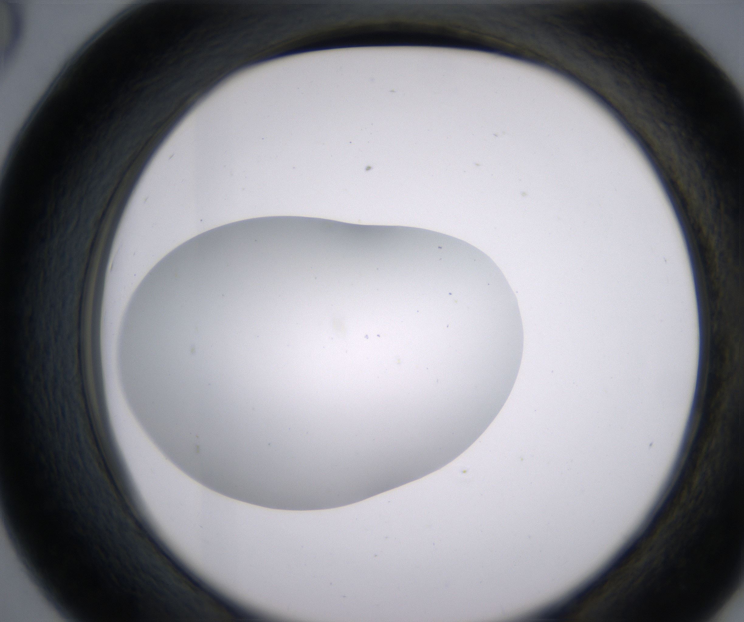 D6_HighResolution_Clear_2.jpg