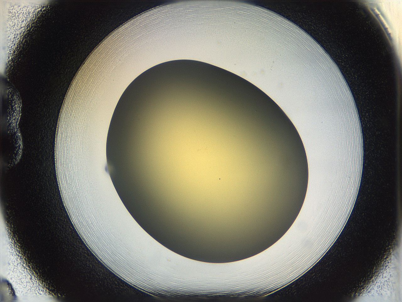 05k0_B8_ImagerDefaults_0.jpg