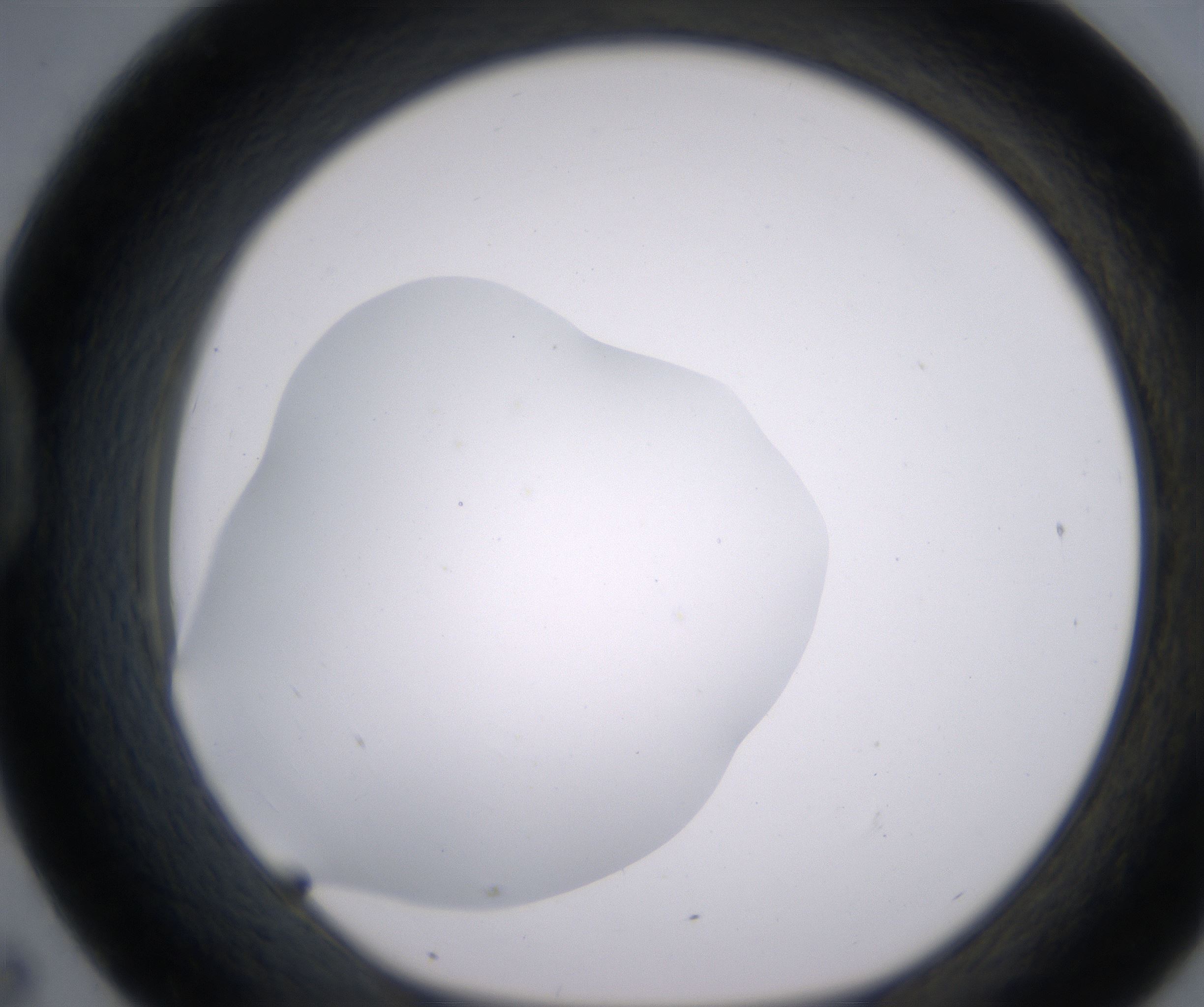 D7_HighResolution_Clear_1.jpg