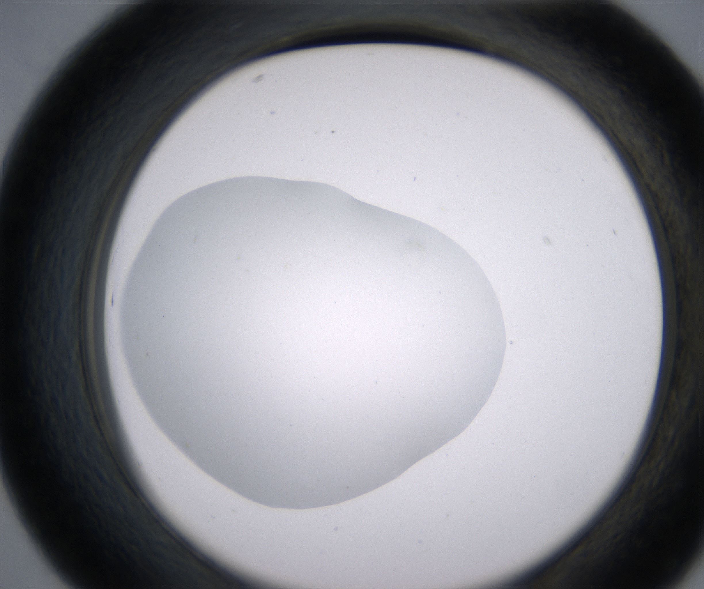 D7_HighResolution_Clear_2.jpg