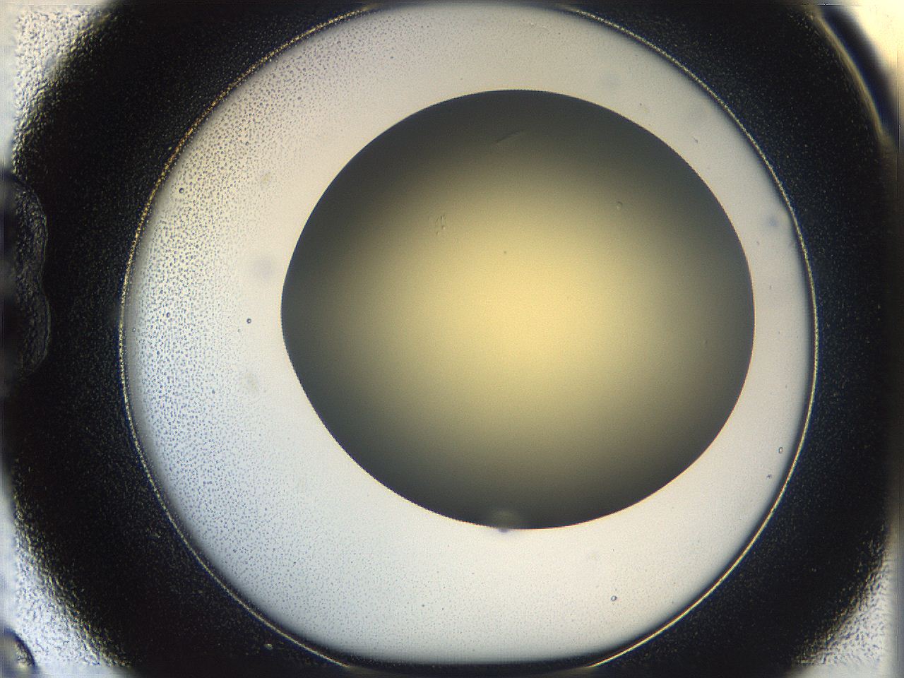 05k0_B9_ImagerDefaults_0.jpg