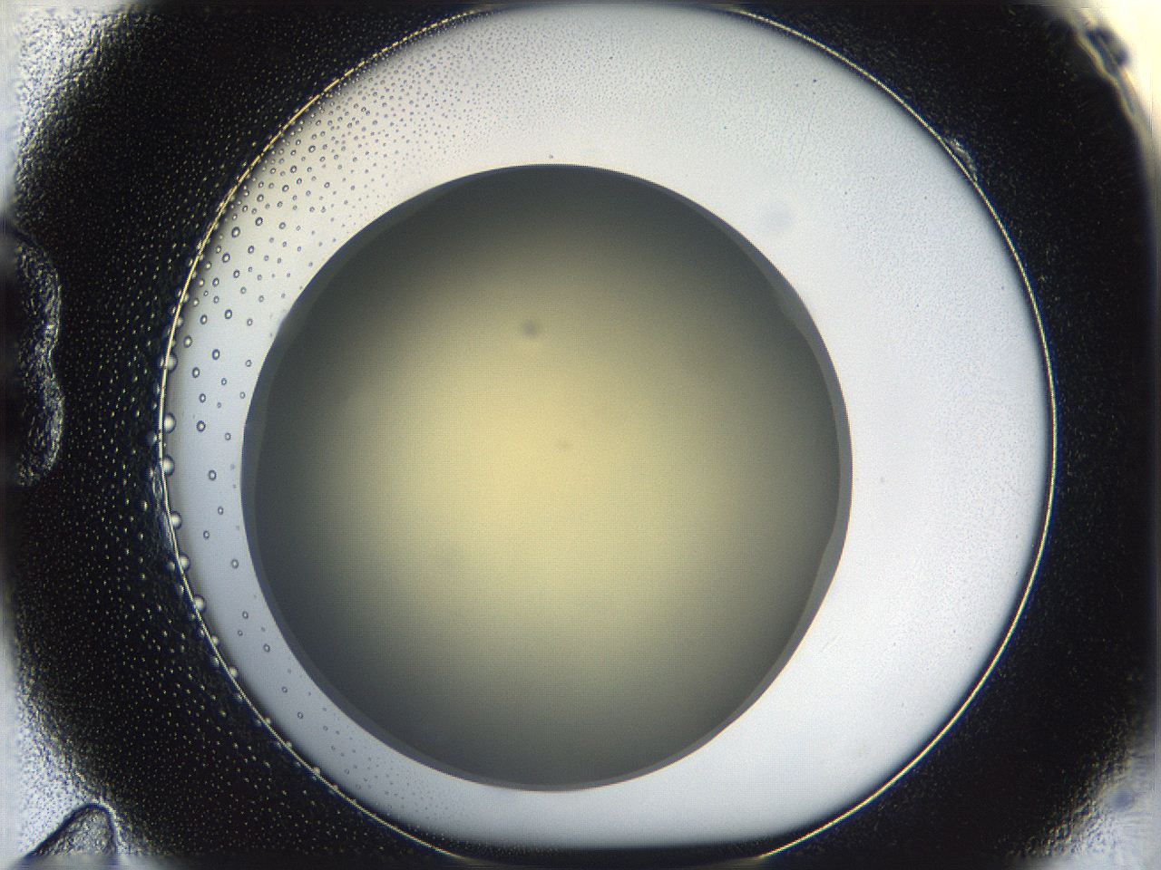 05k0_B11_ImagerDefaults_0.jpg