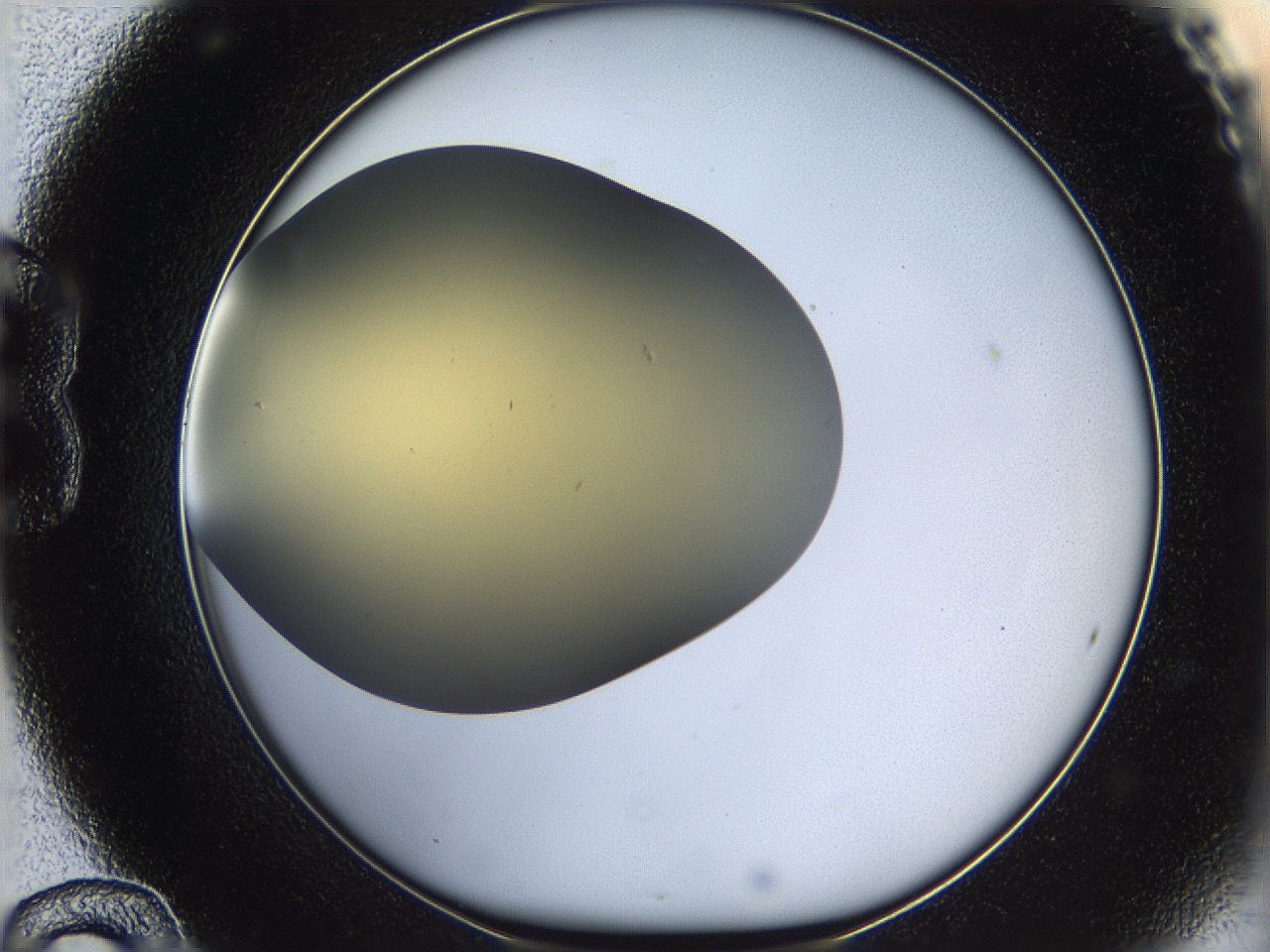 05k0_B12_ImagerDefaults_0.jpg