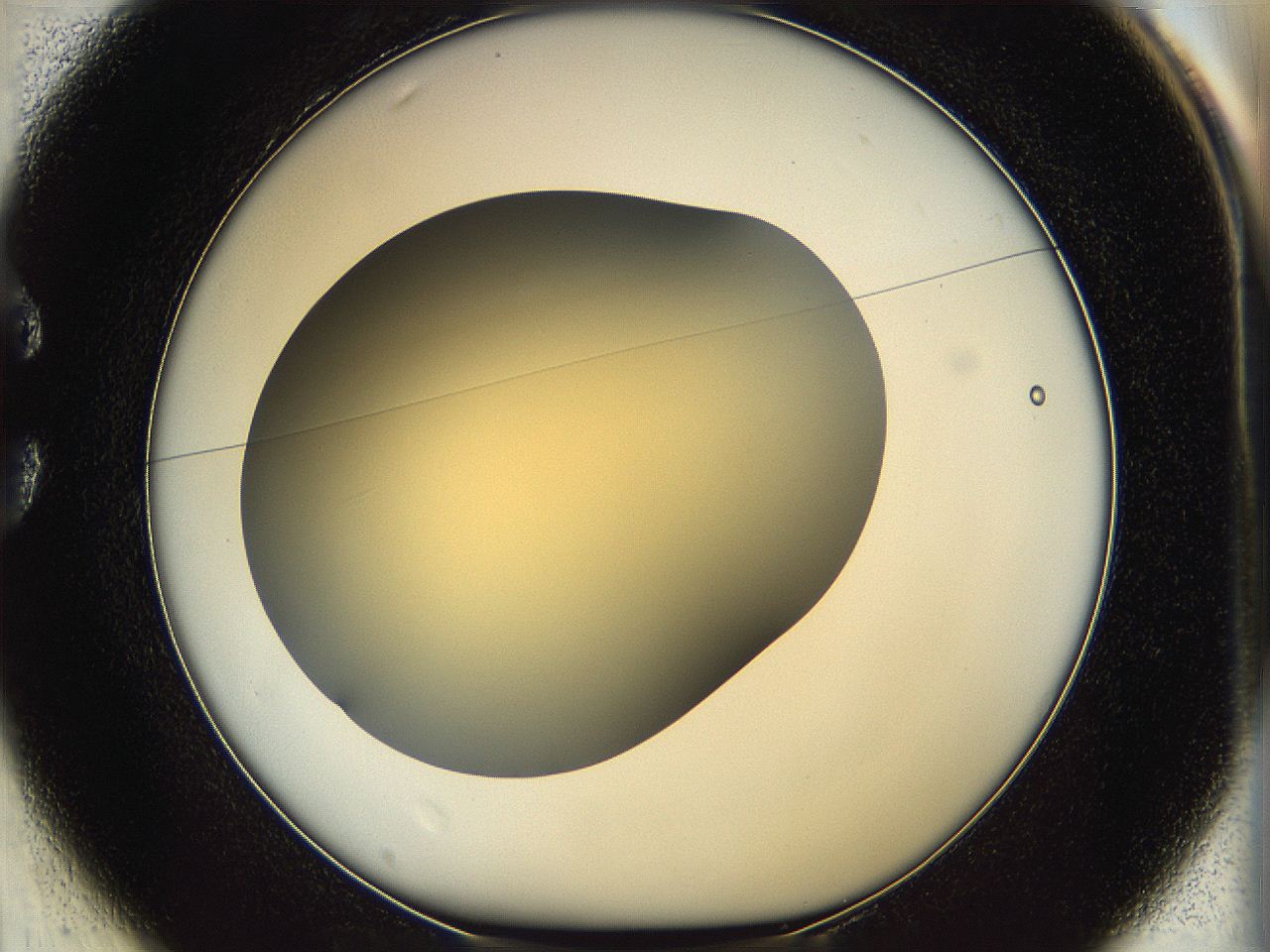 05k0_C1_ImagerDefaults_0.jpg