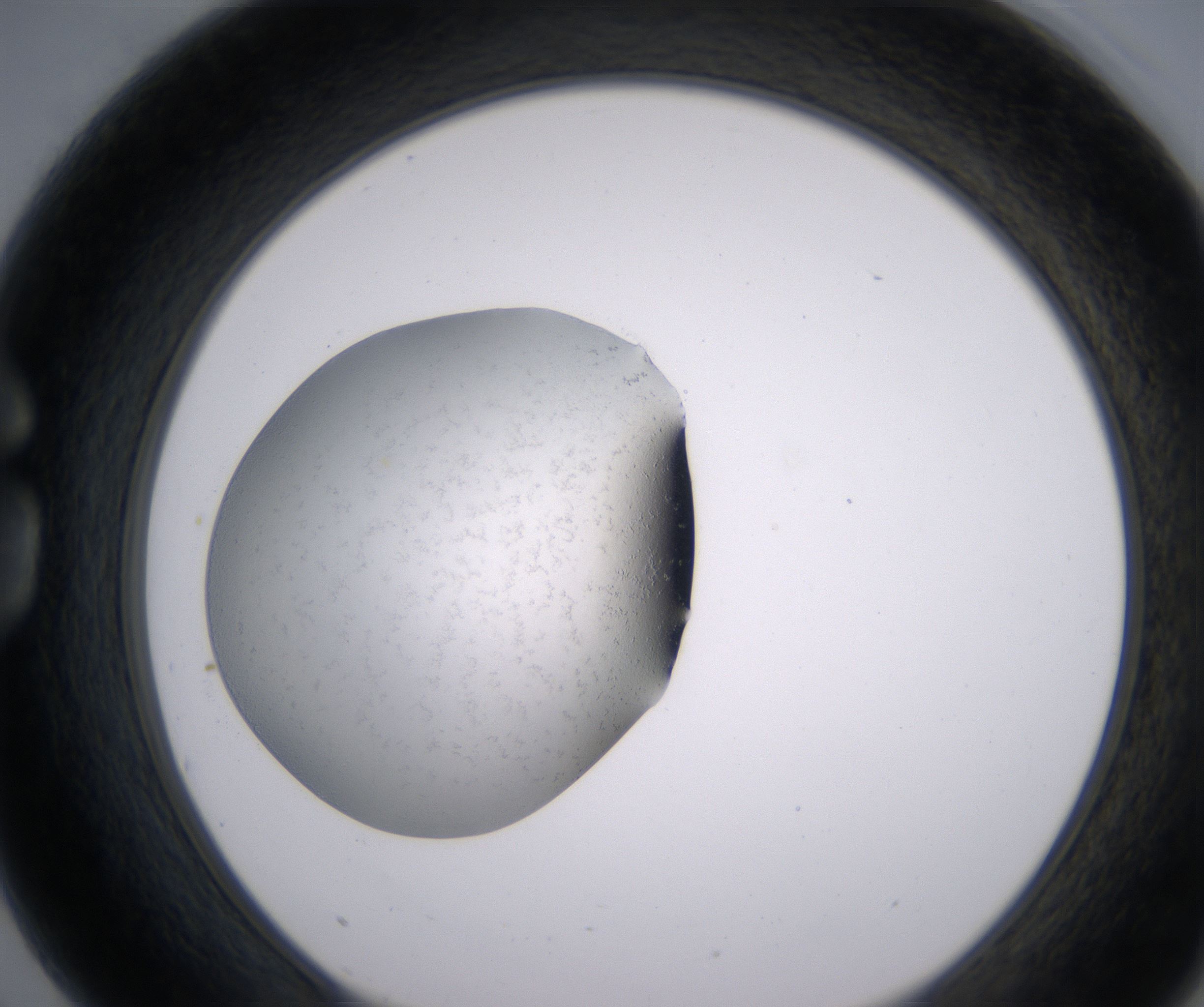 G3_HighResolution_Precipitate_1.jpg