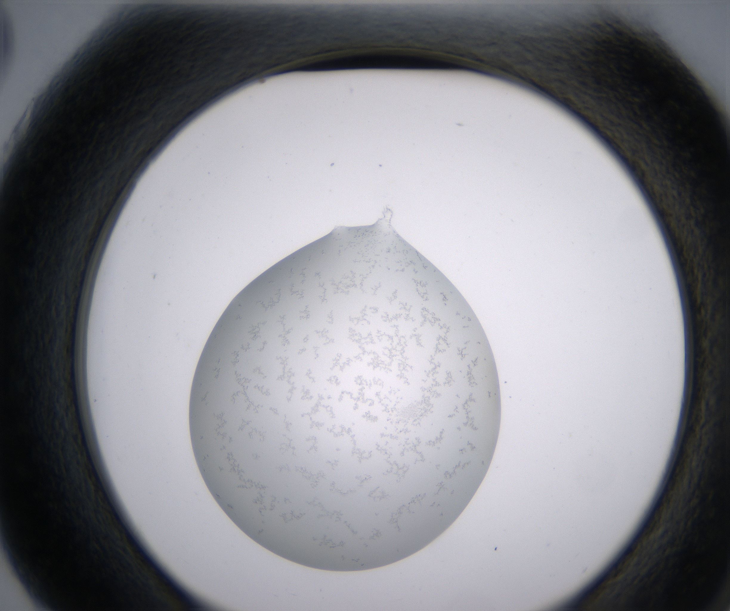 G3_HighResolution_Precipitate_2.jpg