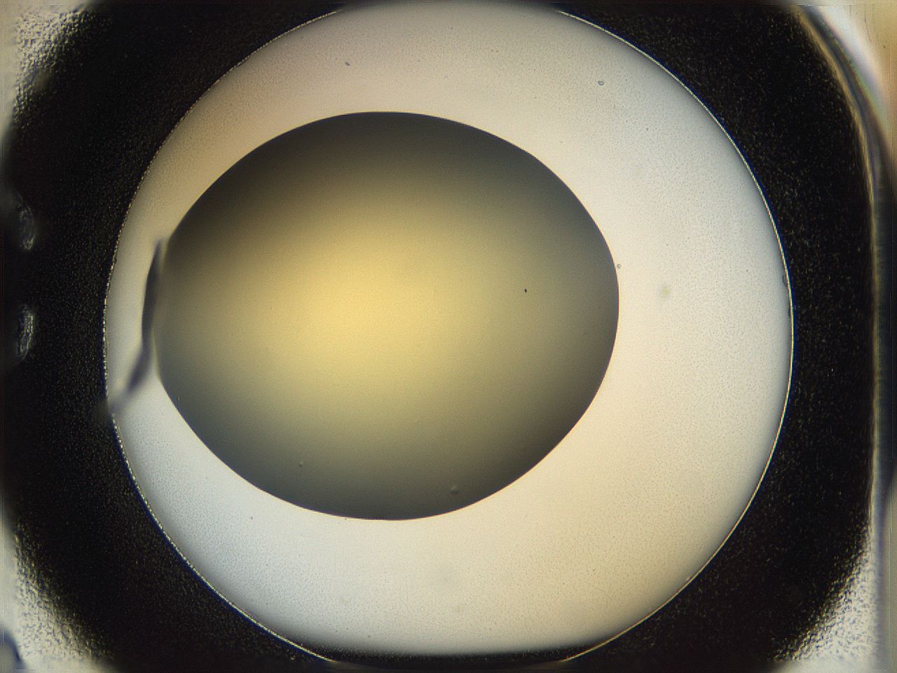 05k0_C2_ImagerDefaults_0.jpg