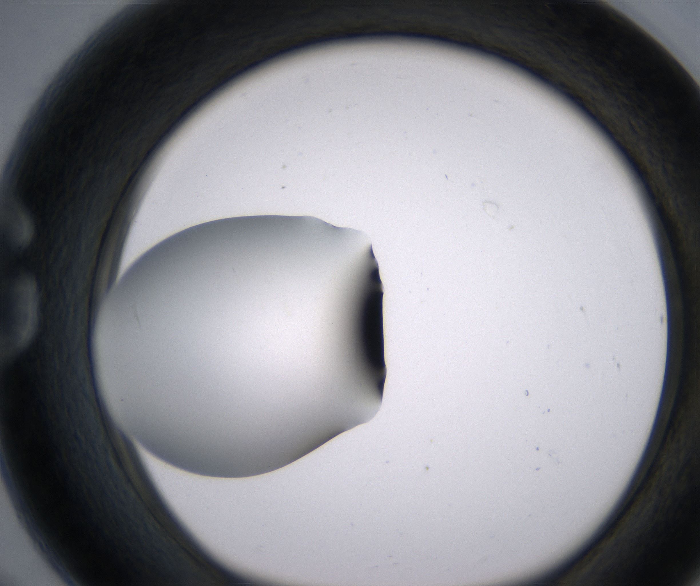 G8_HighResolution_Clear_1.jpg