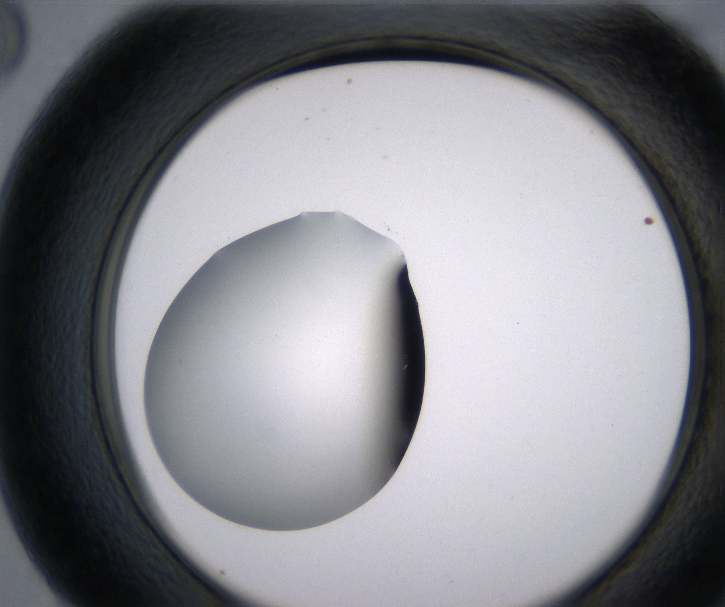 G8_HighResolution_Clear_2.jpg