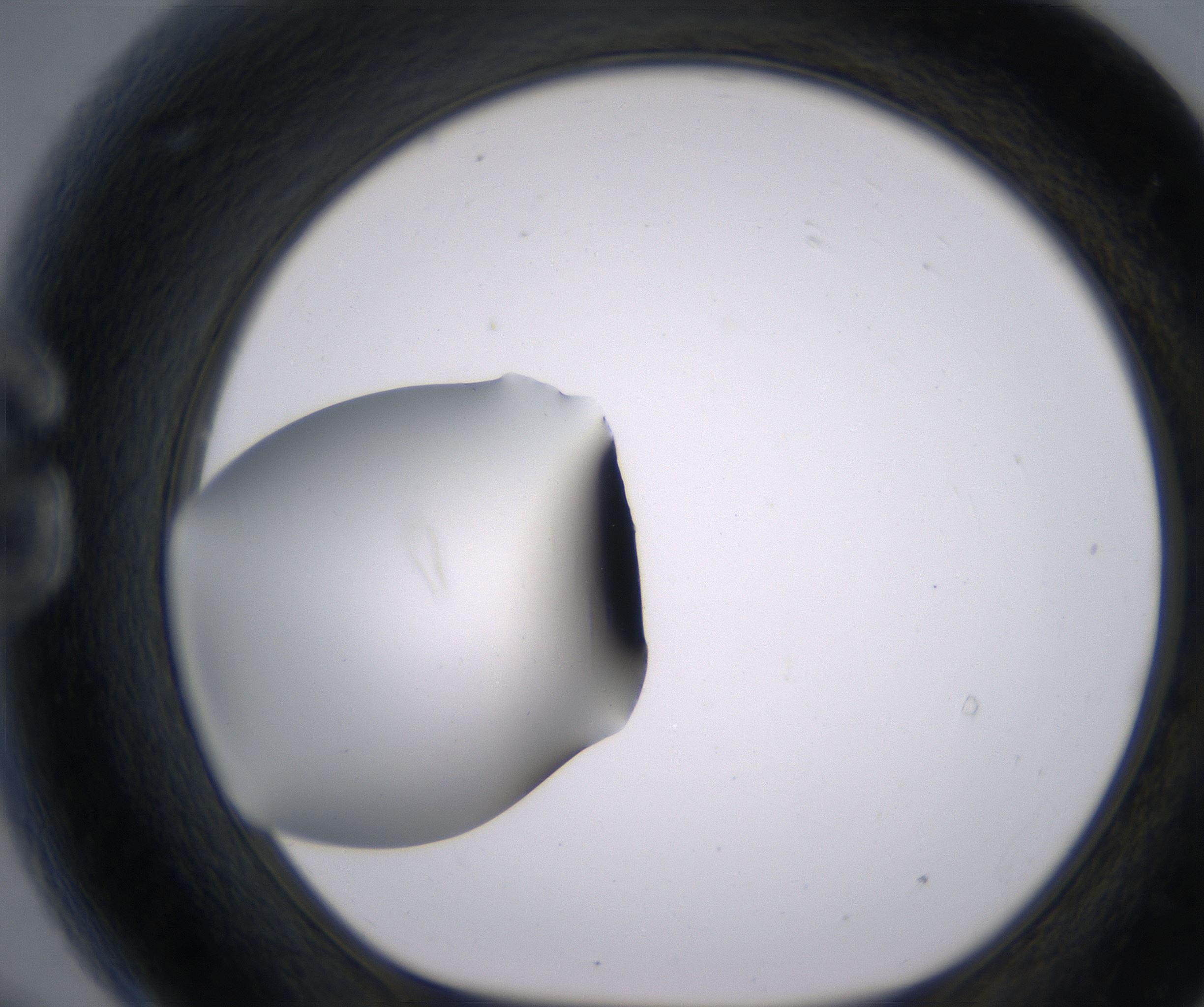 G9_HighResolution_Clear_1.jpg
