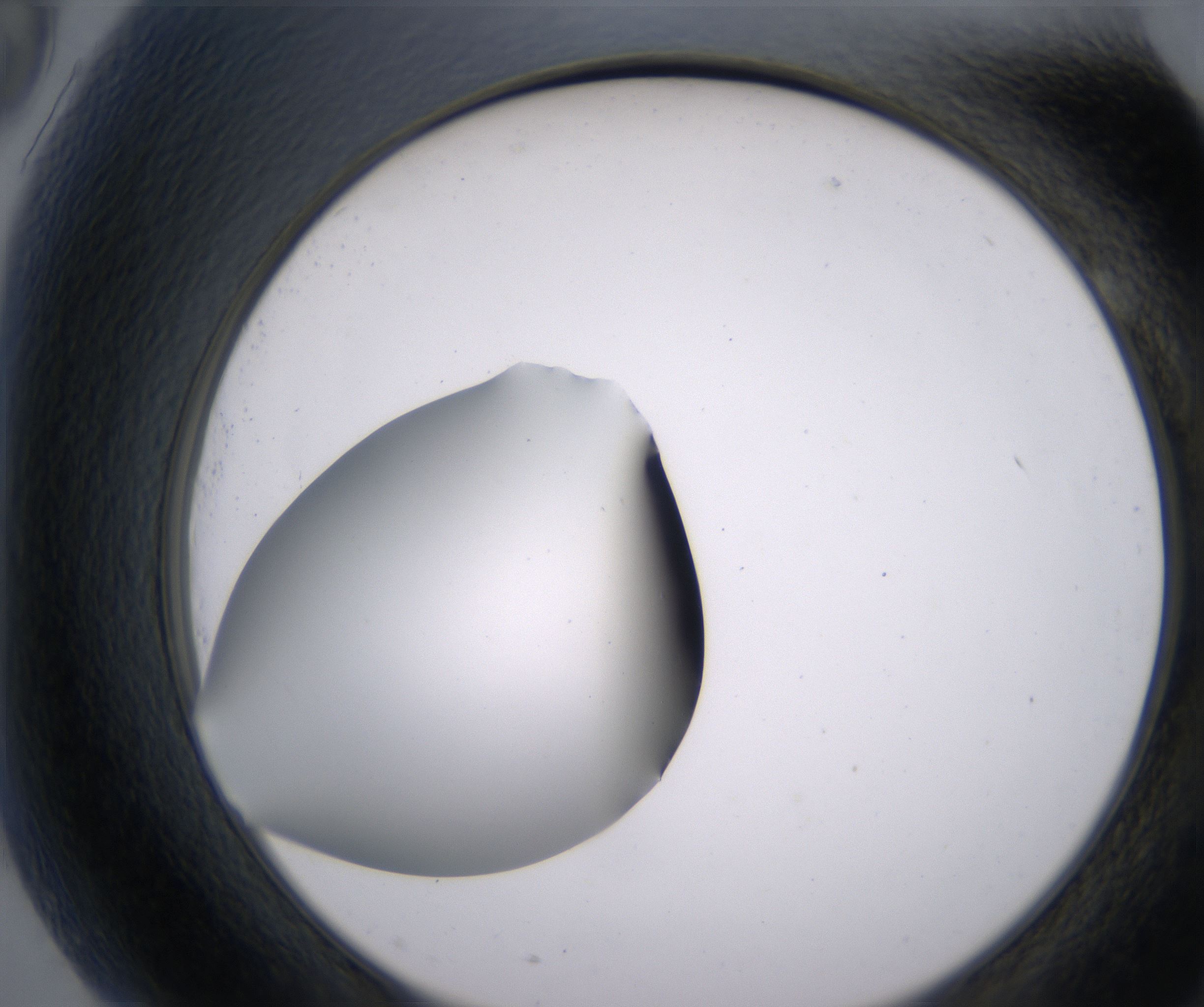 G9_HighResolution_Clear_2.jpg