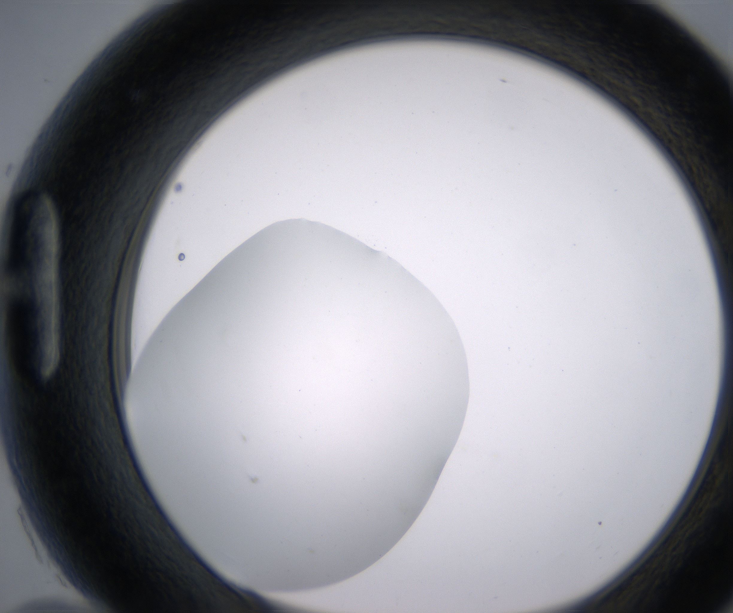 H10_HighResolution_Clear_1.jpg