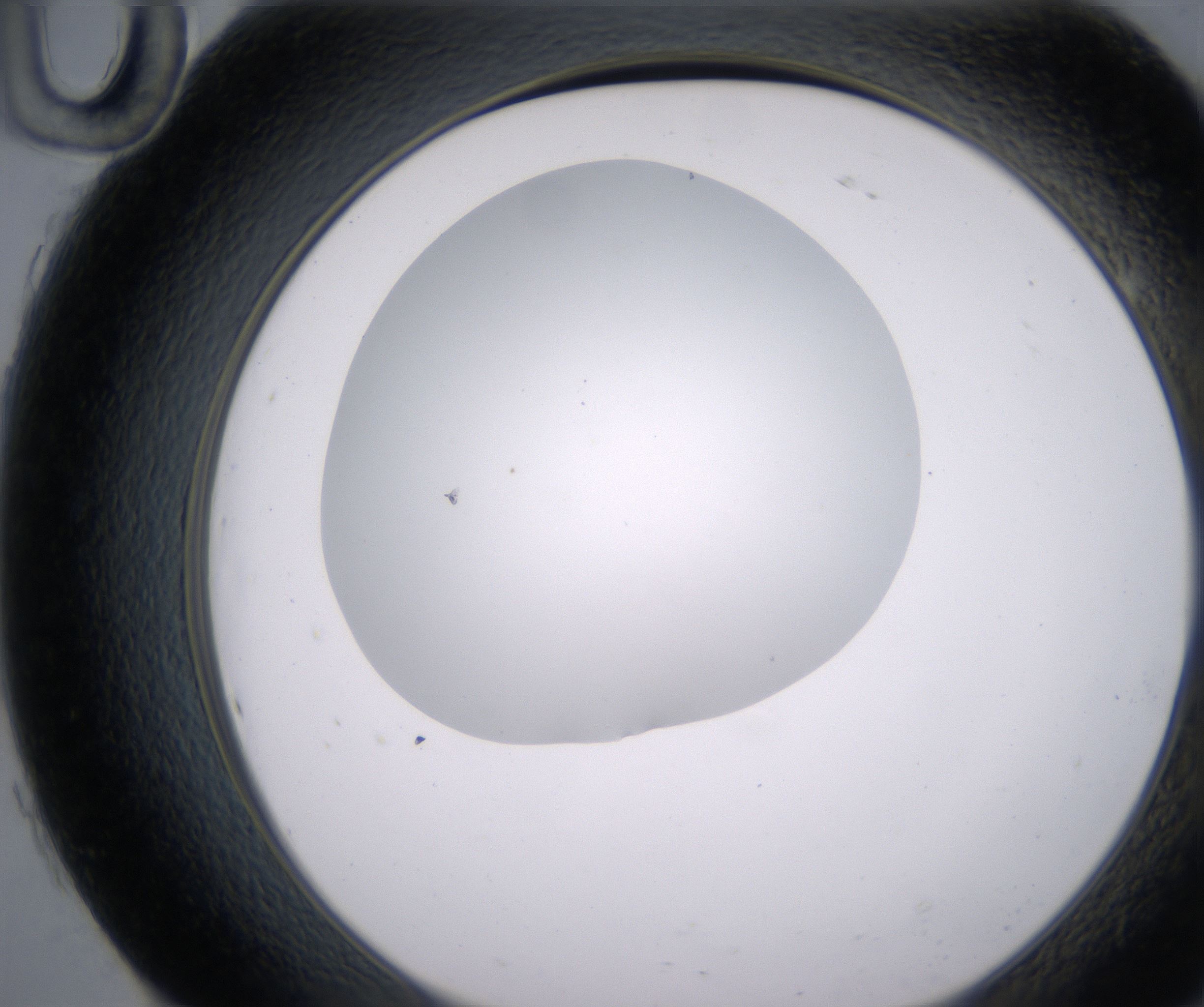 H10_HighResolution_Clear_2.jpg