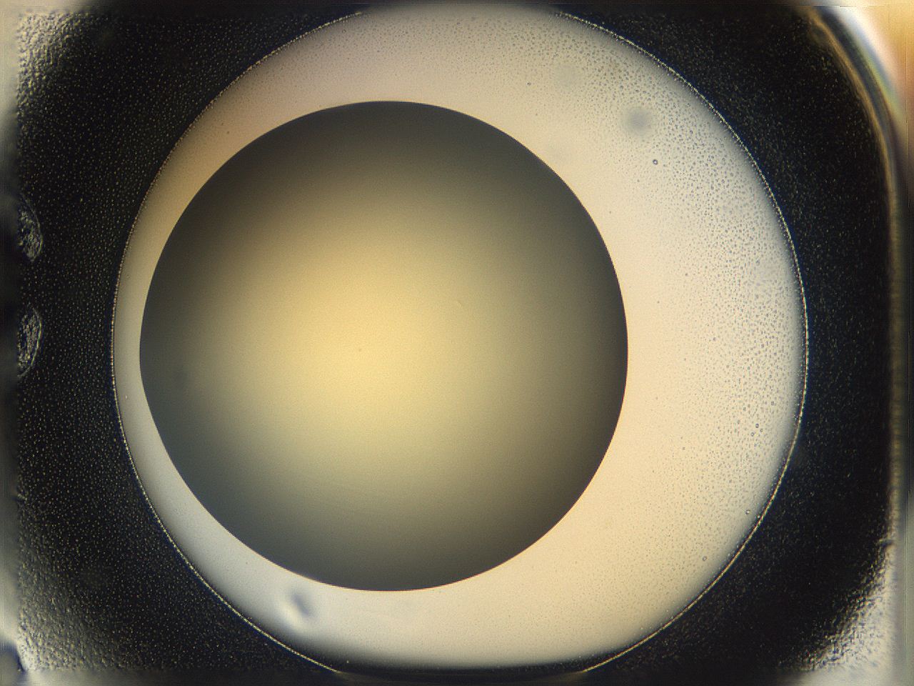 05k0_C3_ImagerDefaults_0.jpg