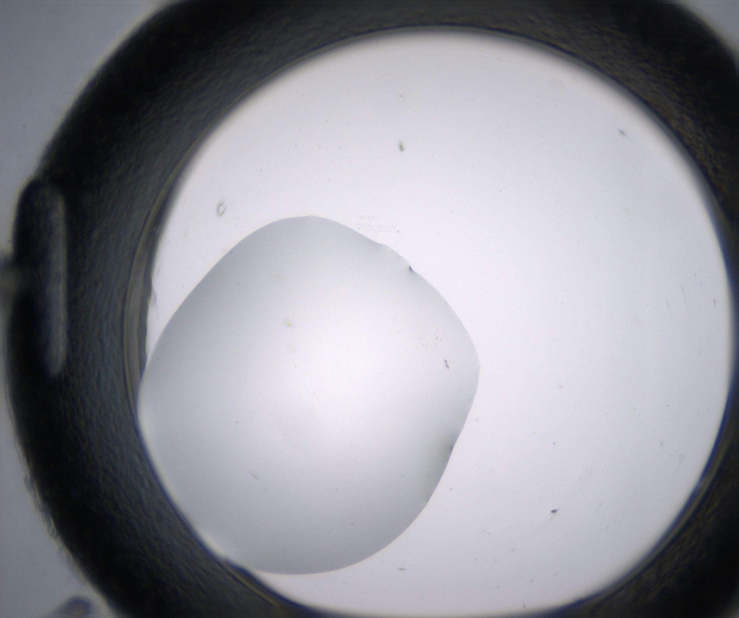 H11_HighResolution_Clear_1.jpg