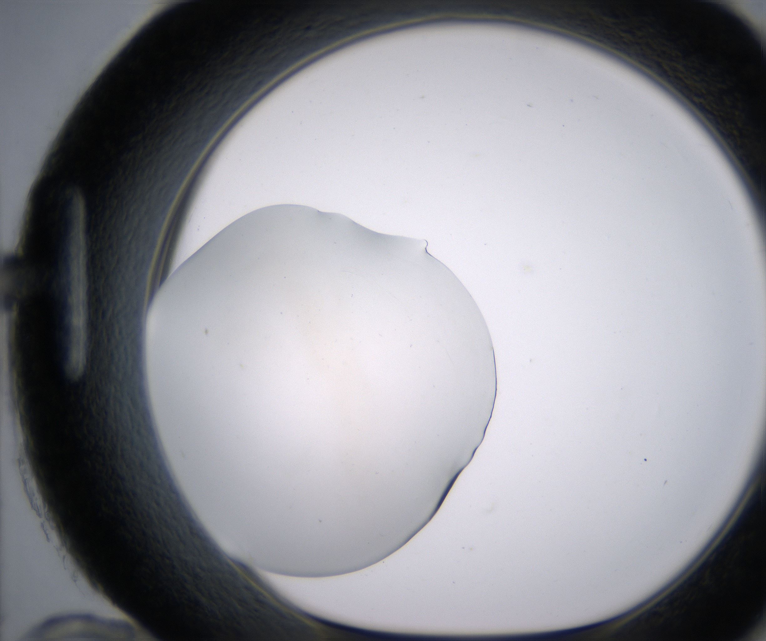 H12_HighResolution_Clear_1.jpg